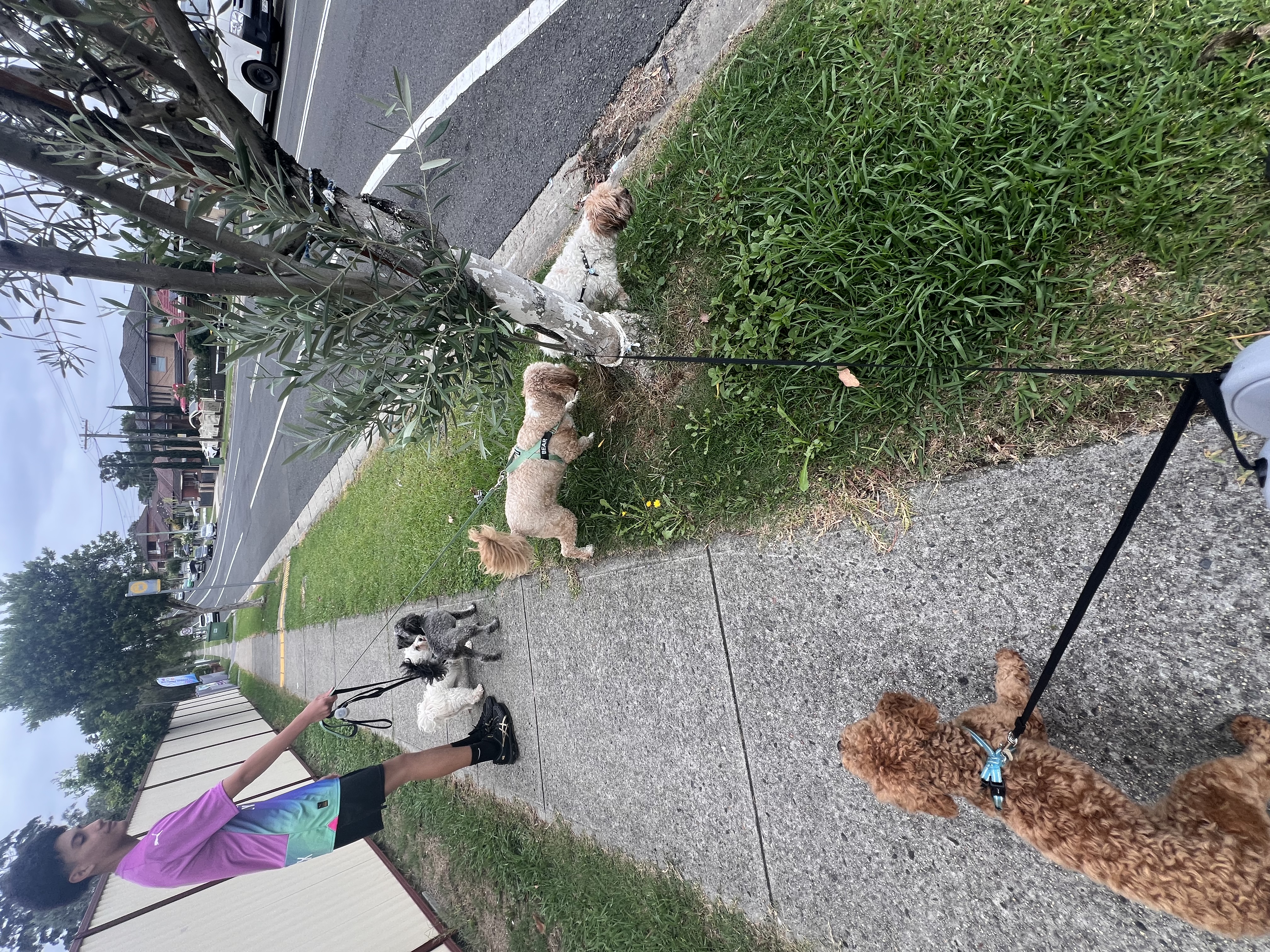 image-18