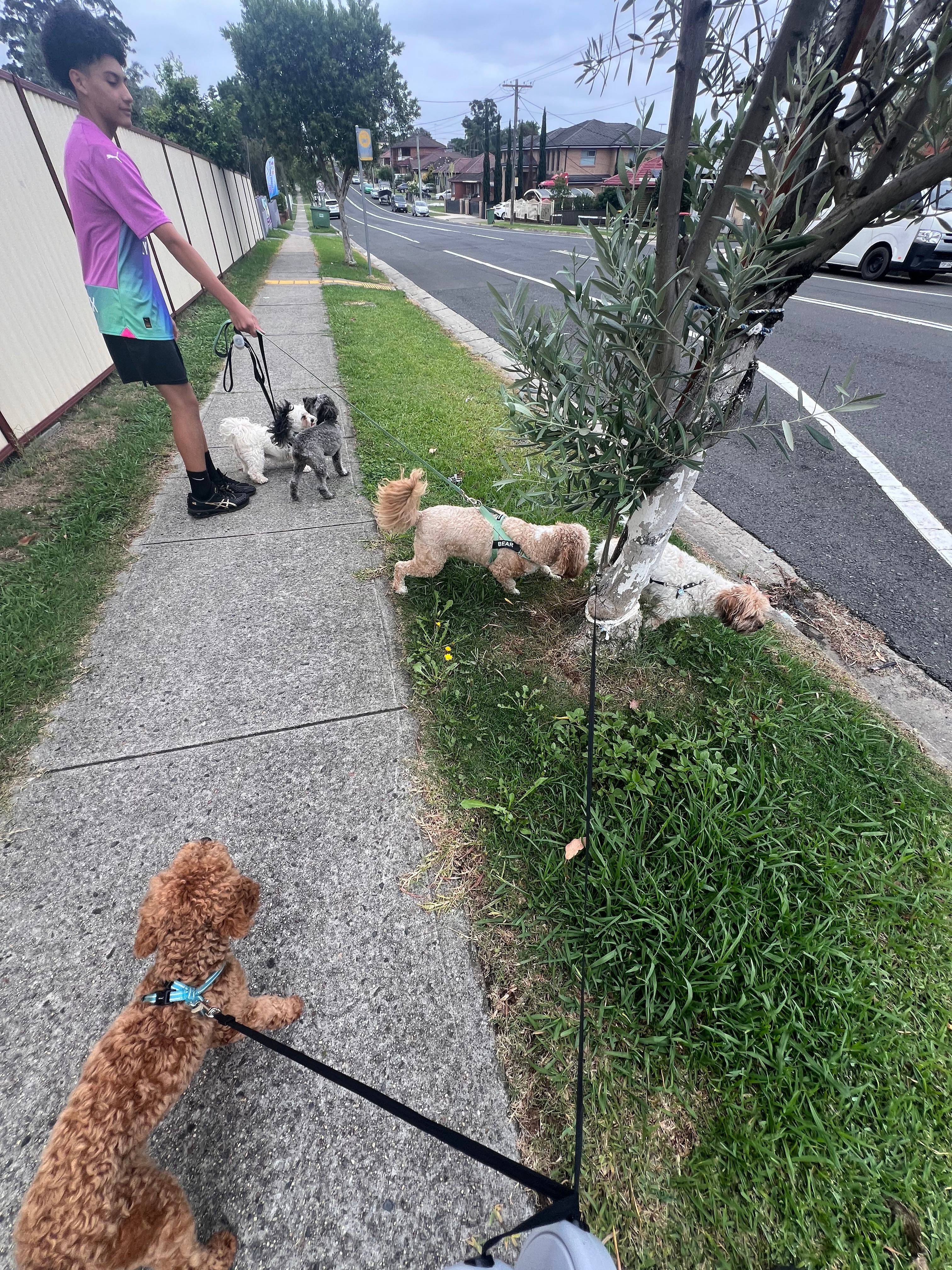 image-18