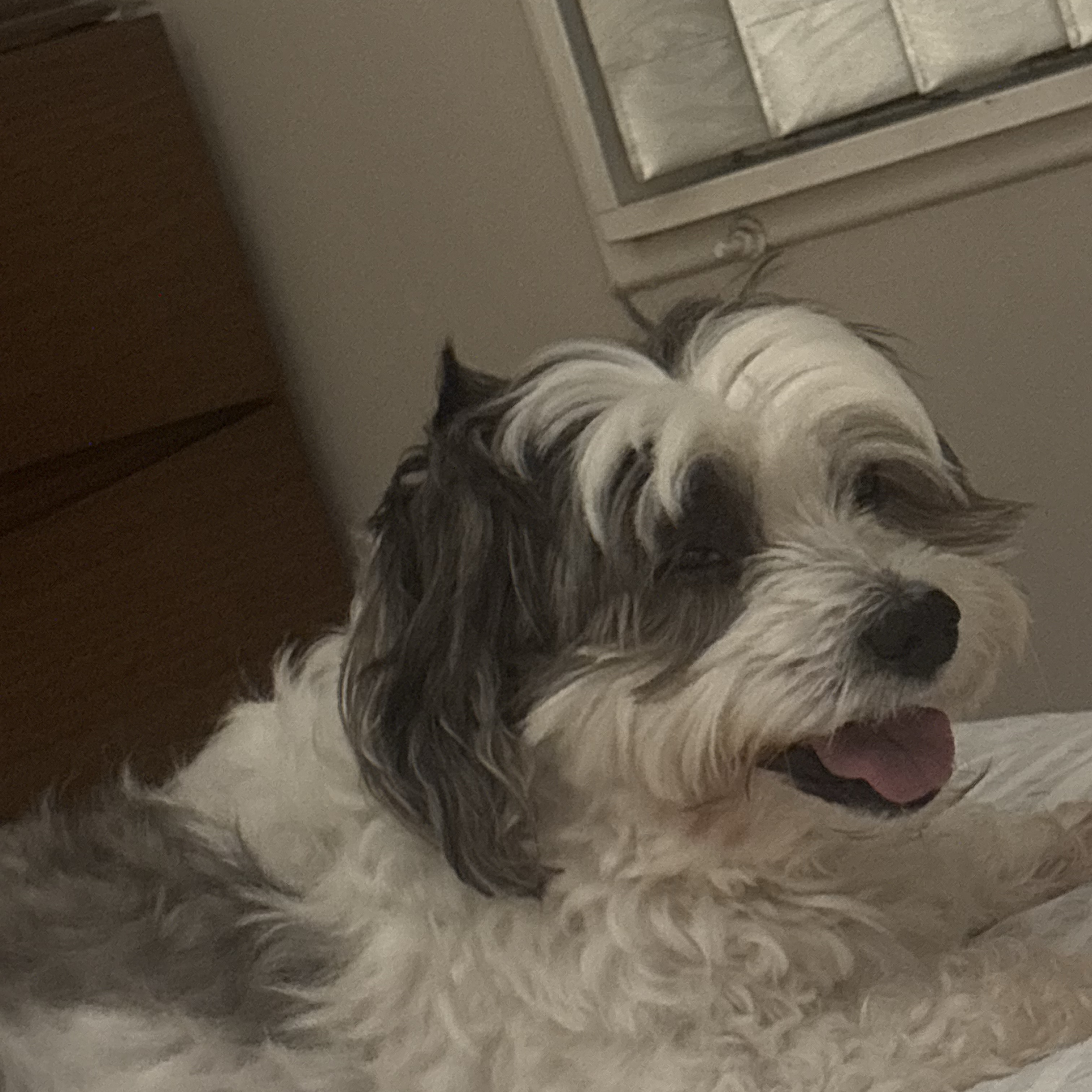 Milo