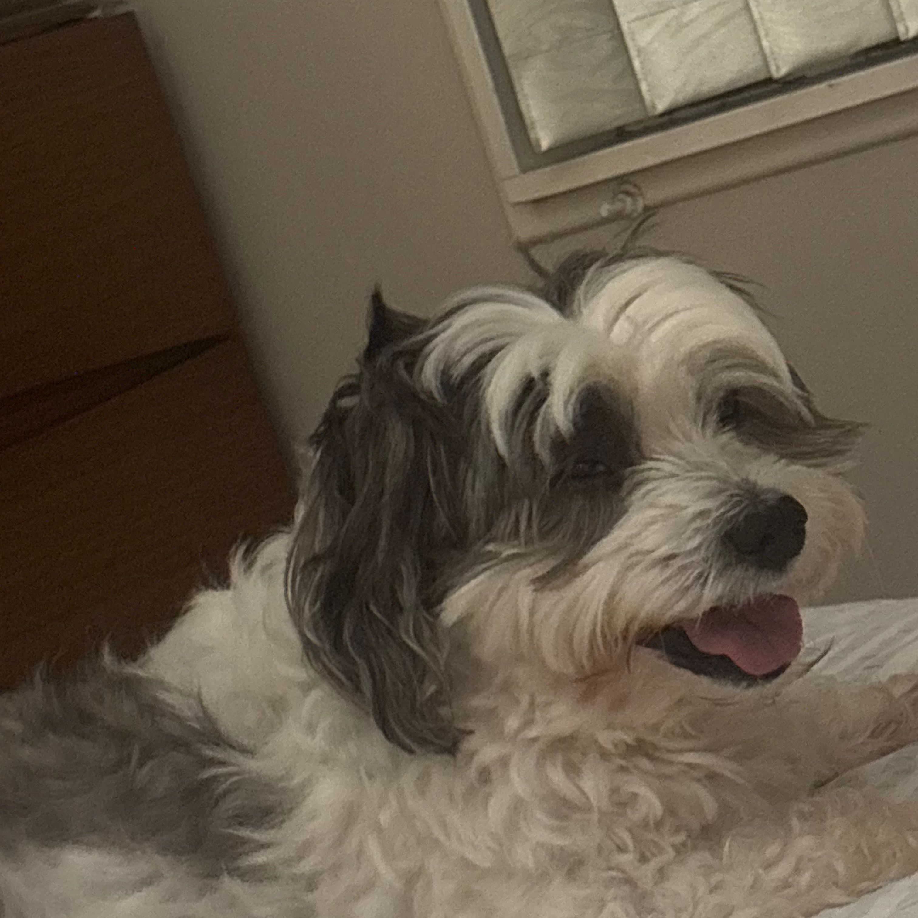 Milo