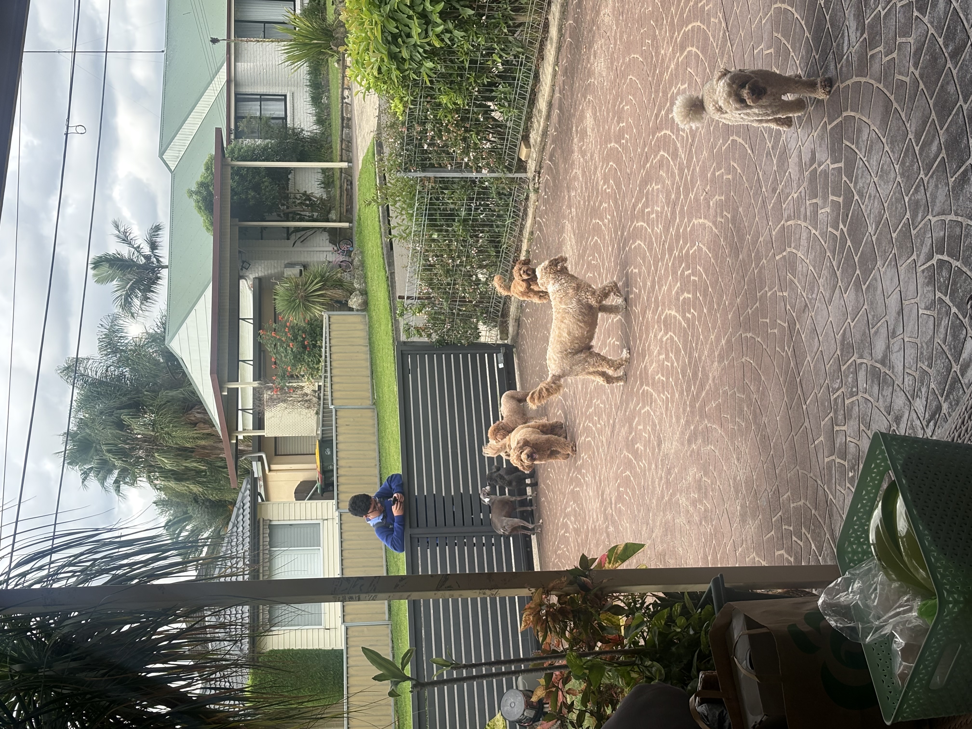 image-20