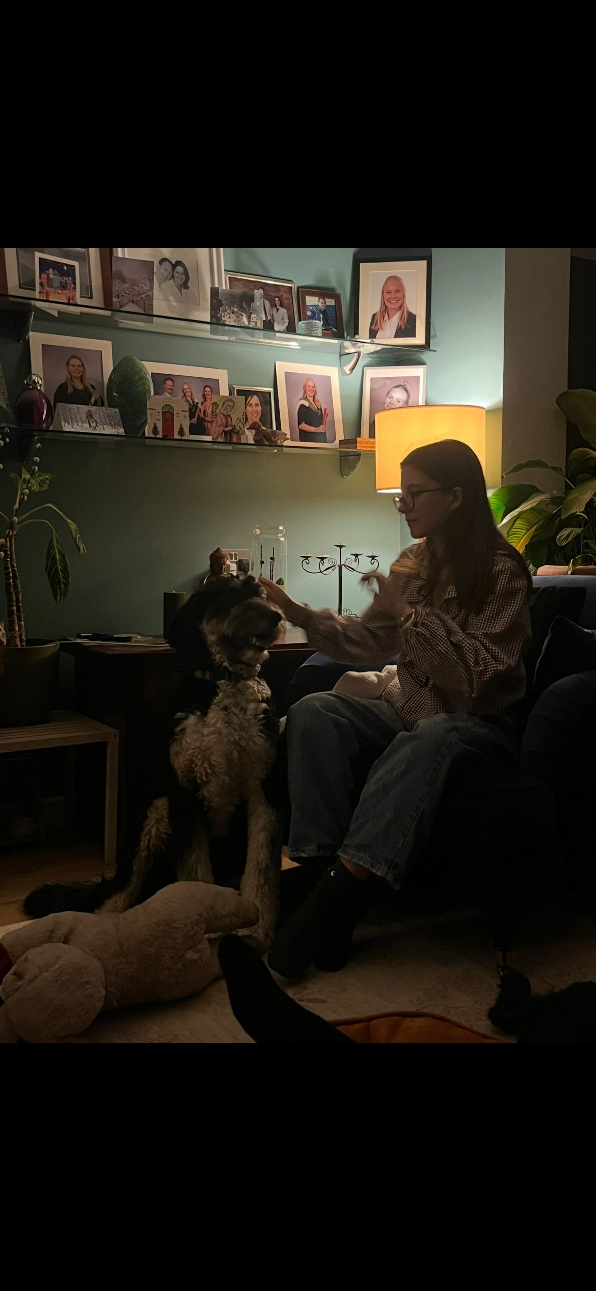 image-12
