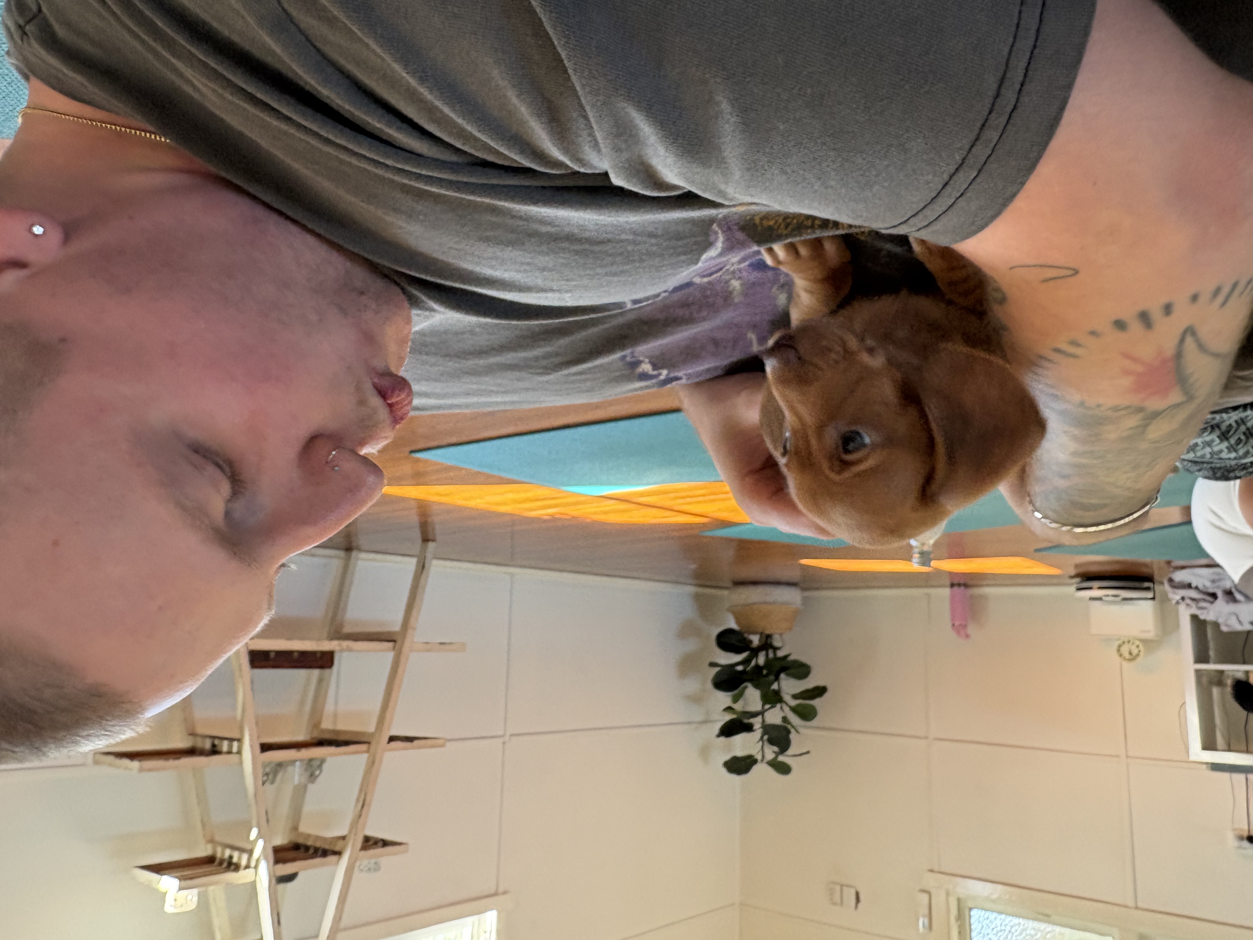 image-15