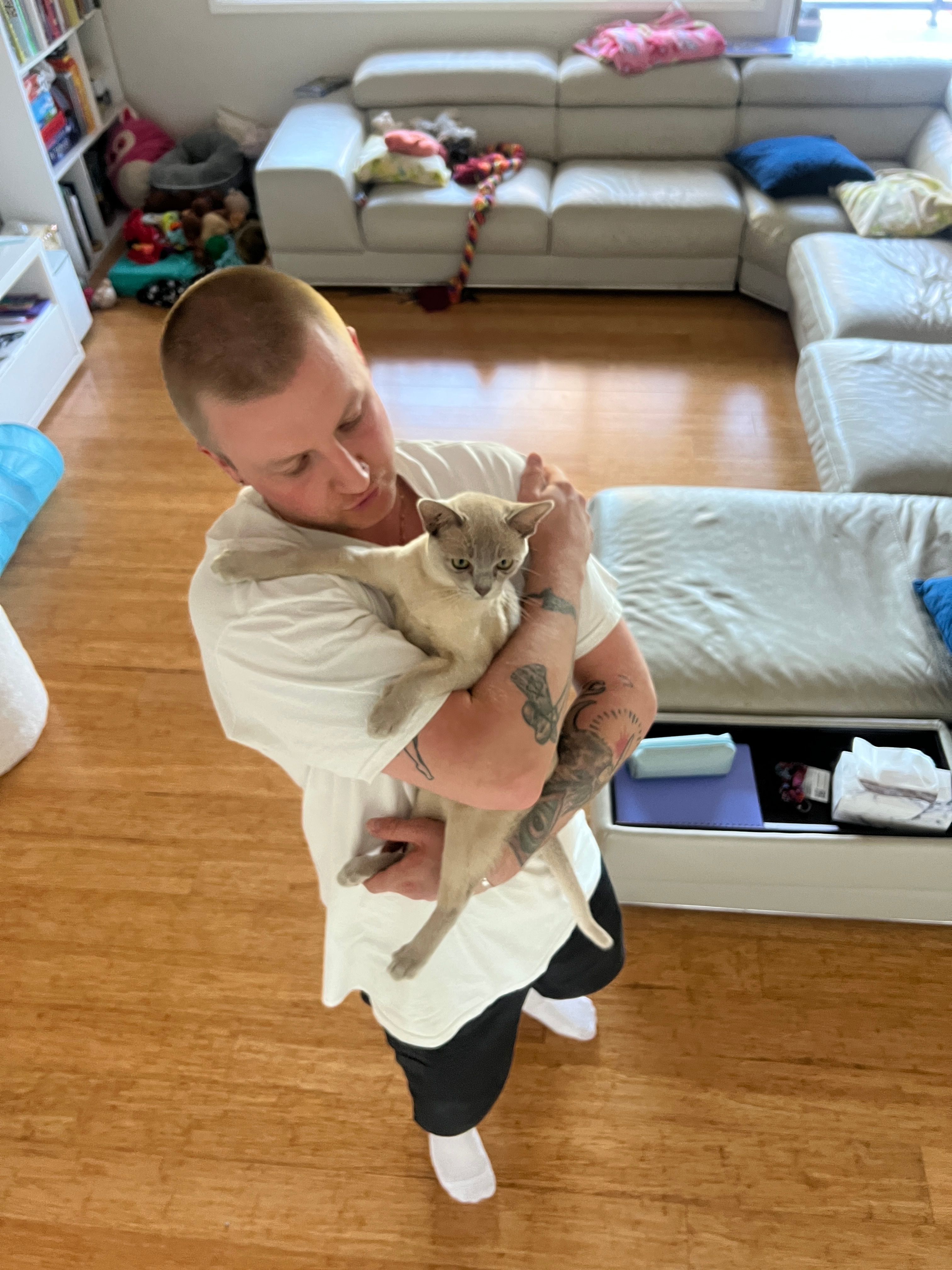 image-12