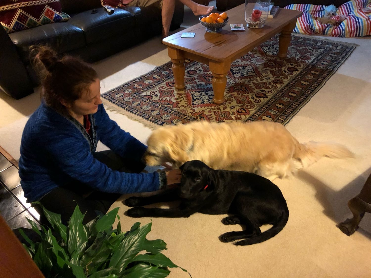 image-3