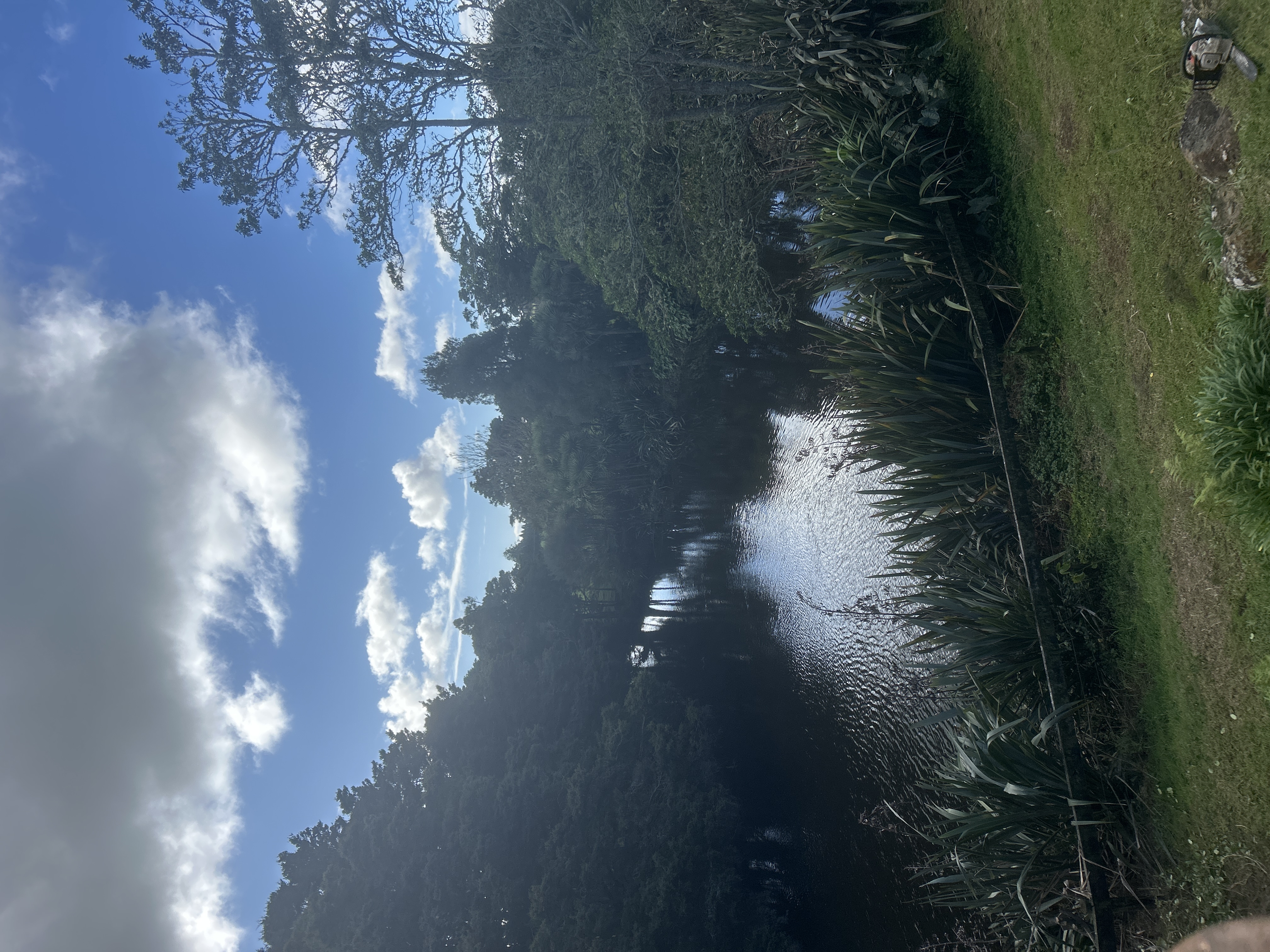 image-20