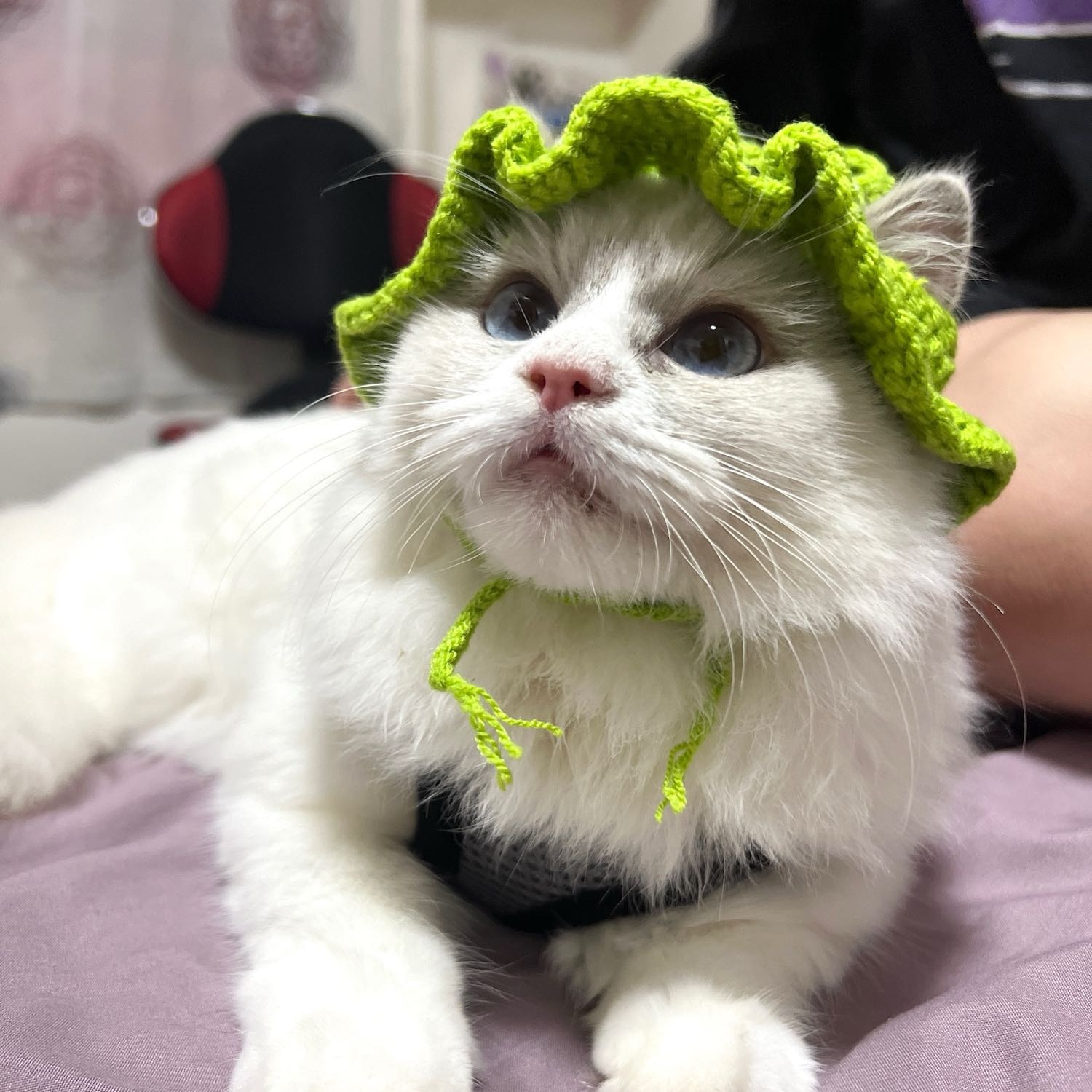 YODA