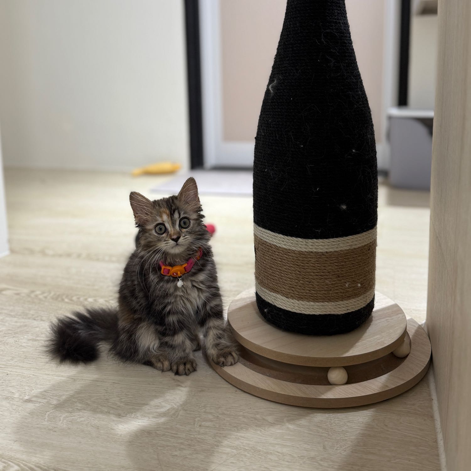 LUNA