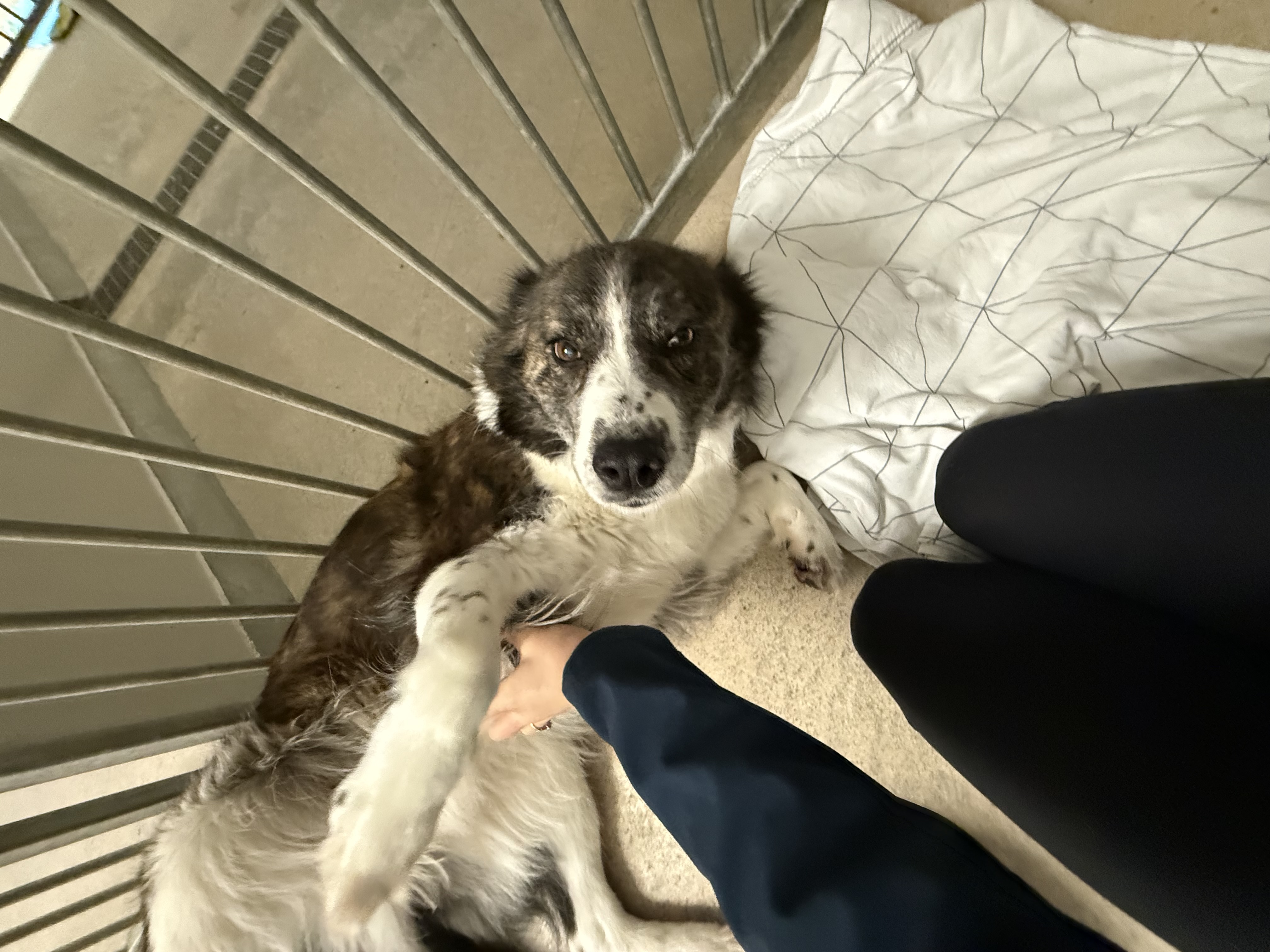 image-7