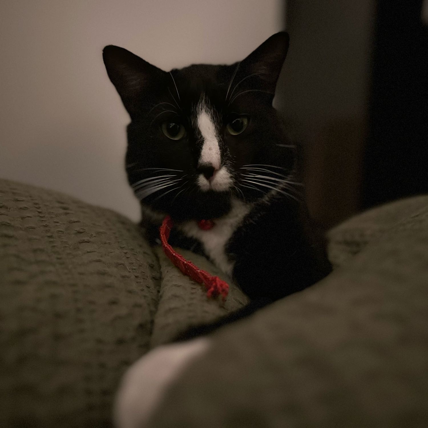 James Bond