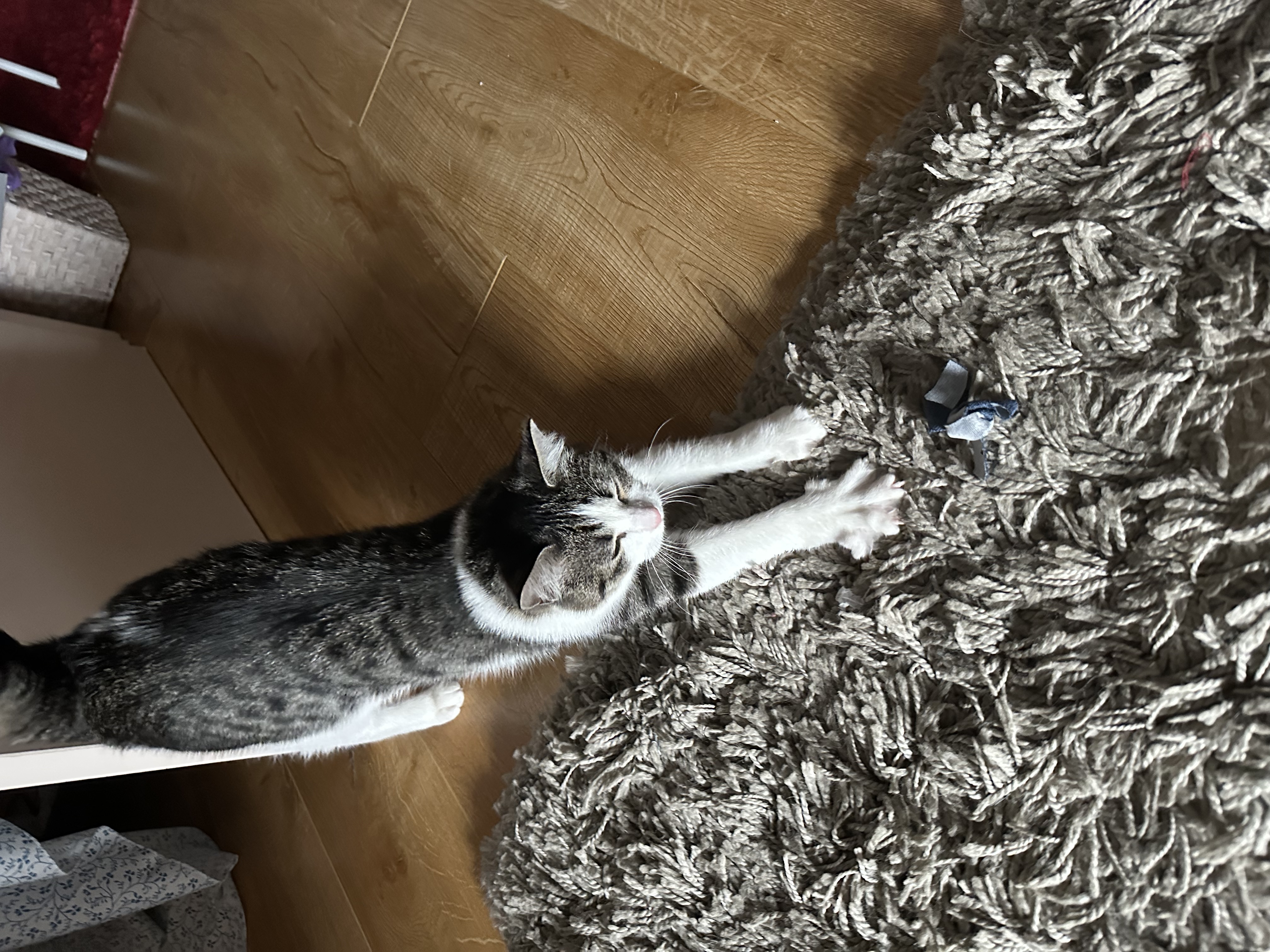 image-12