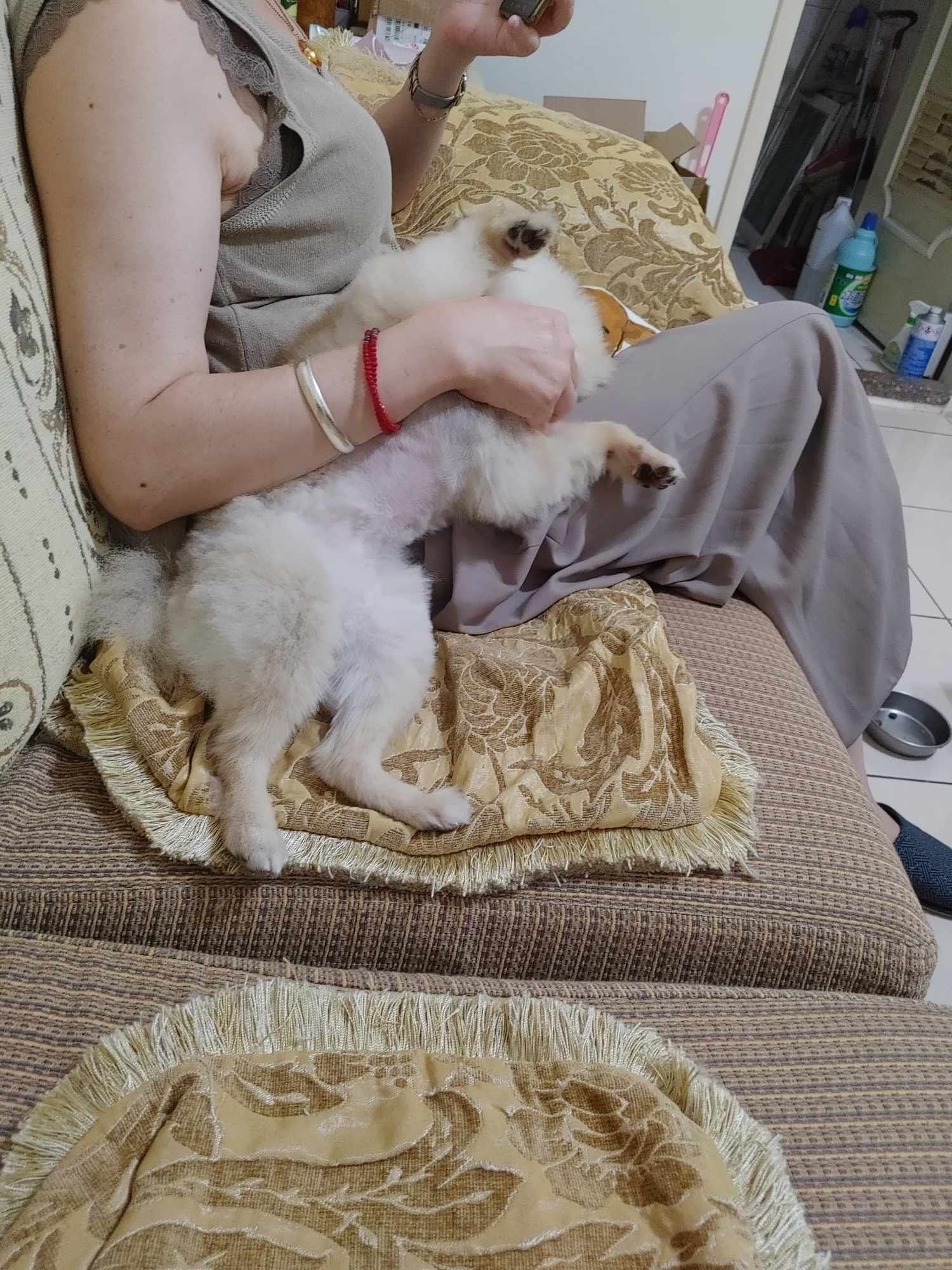 image-3