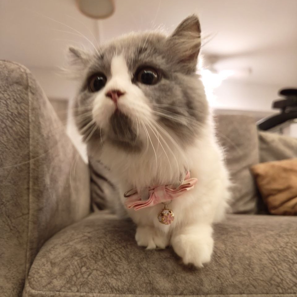 Mika