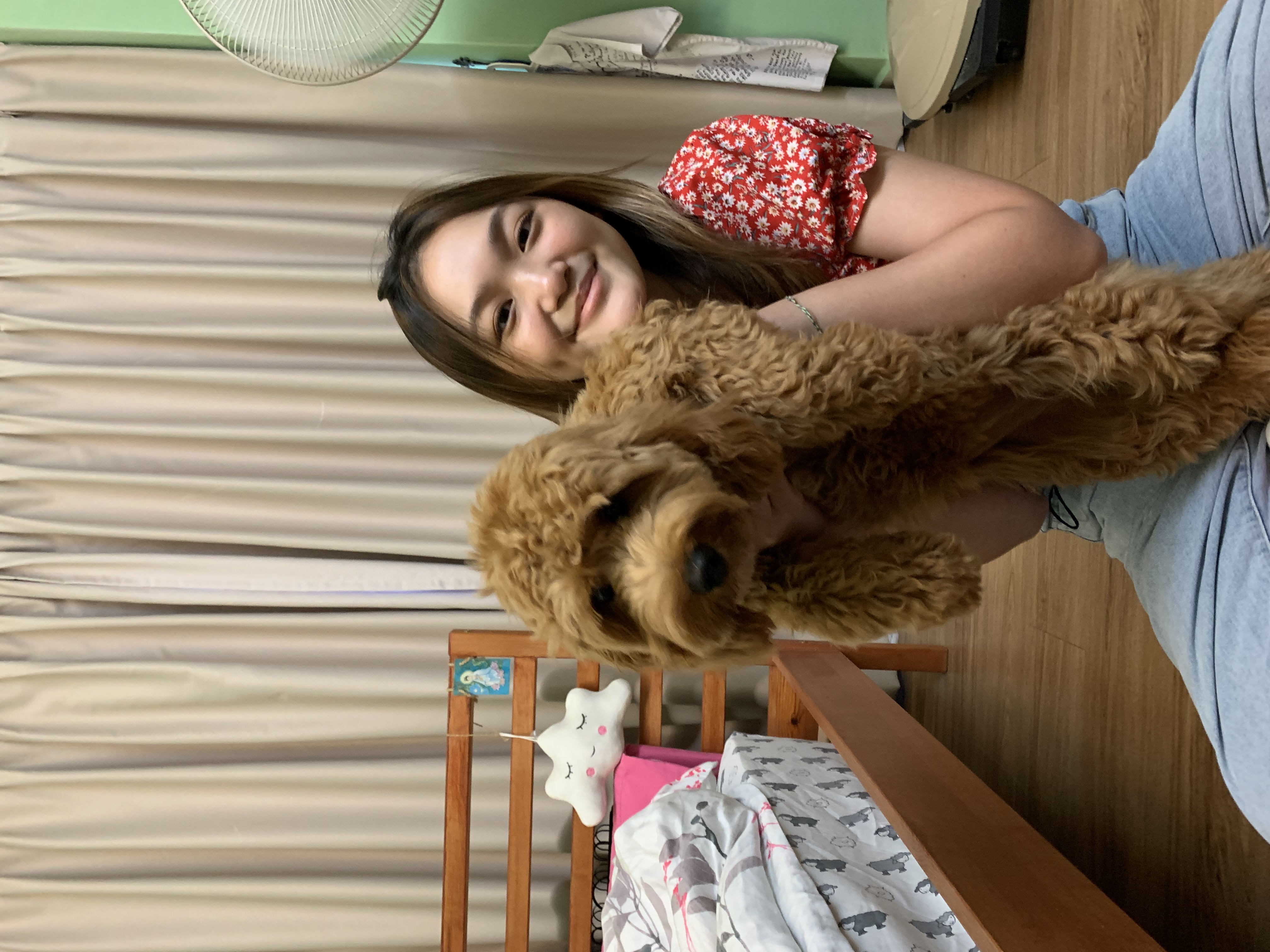 image-4