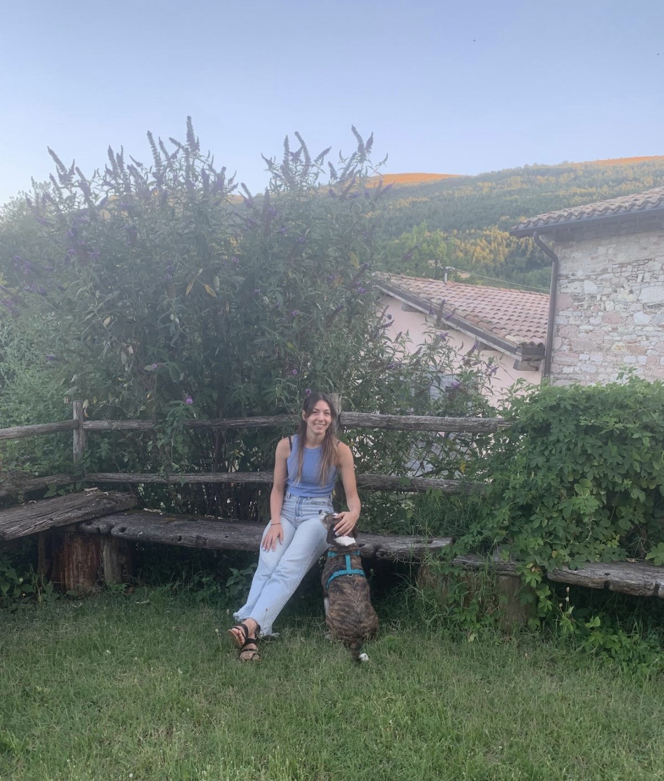 image-11