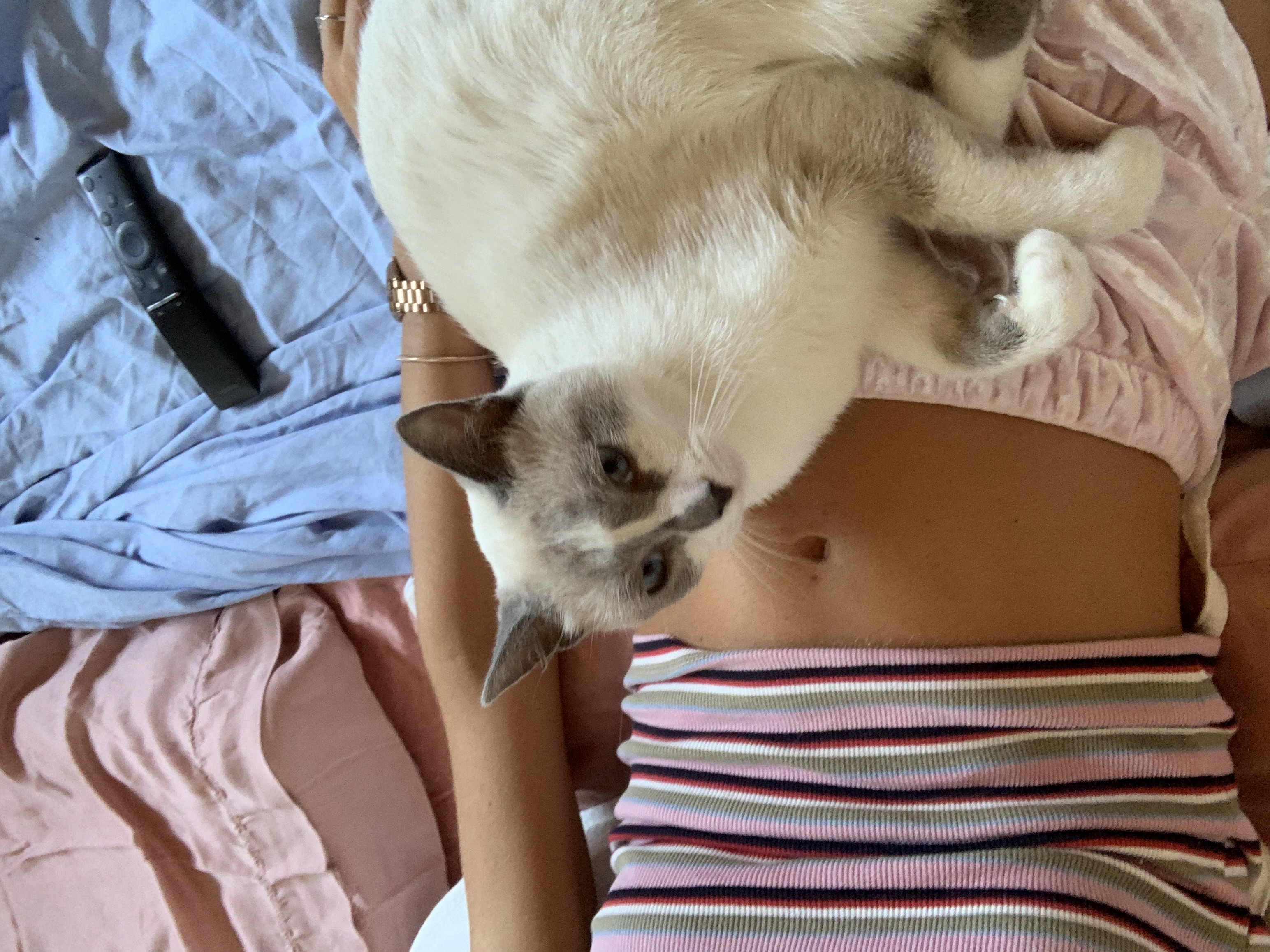image-10
