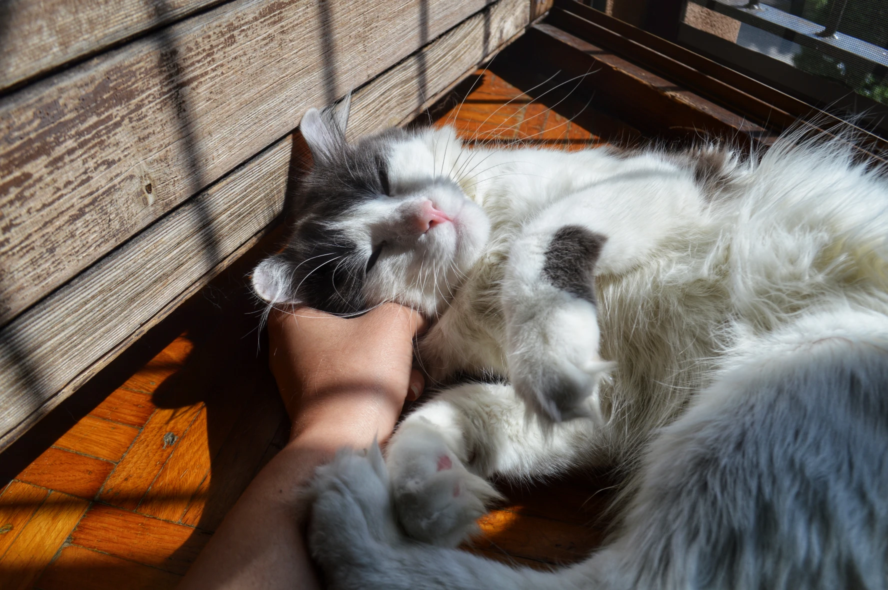 image-8