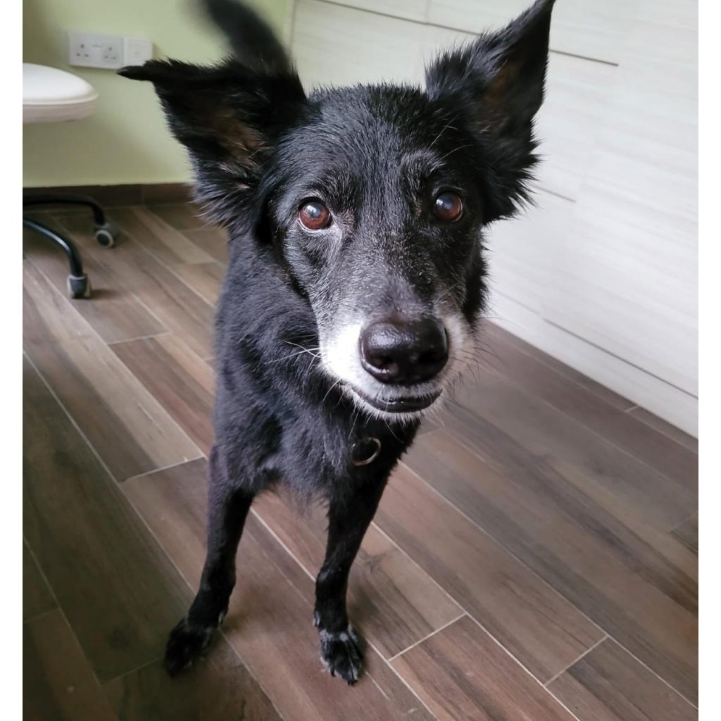 Prince Ryan Ruthra / Cutiepie / Ammu / baby