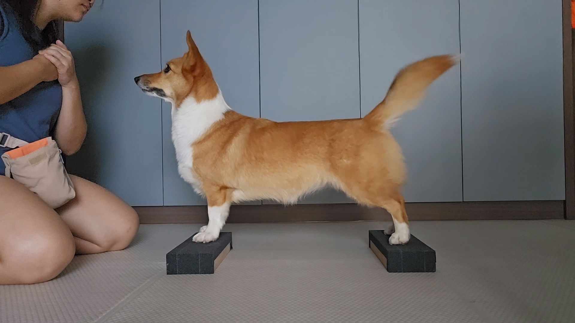 image-0