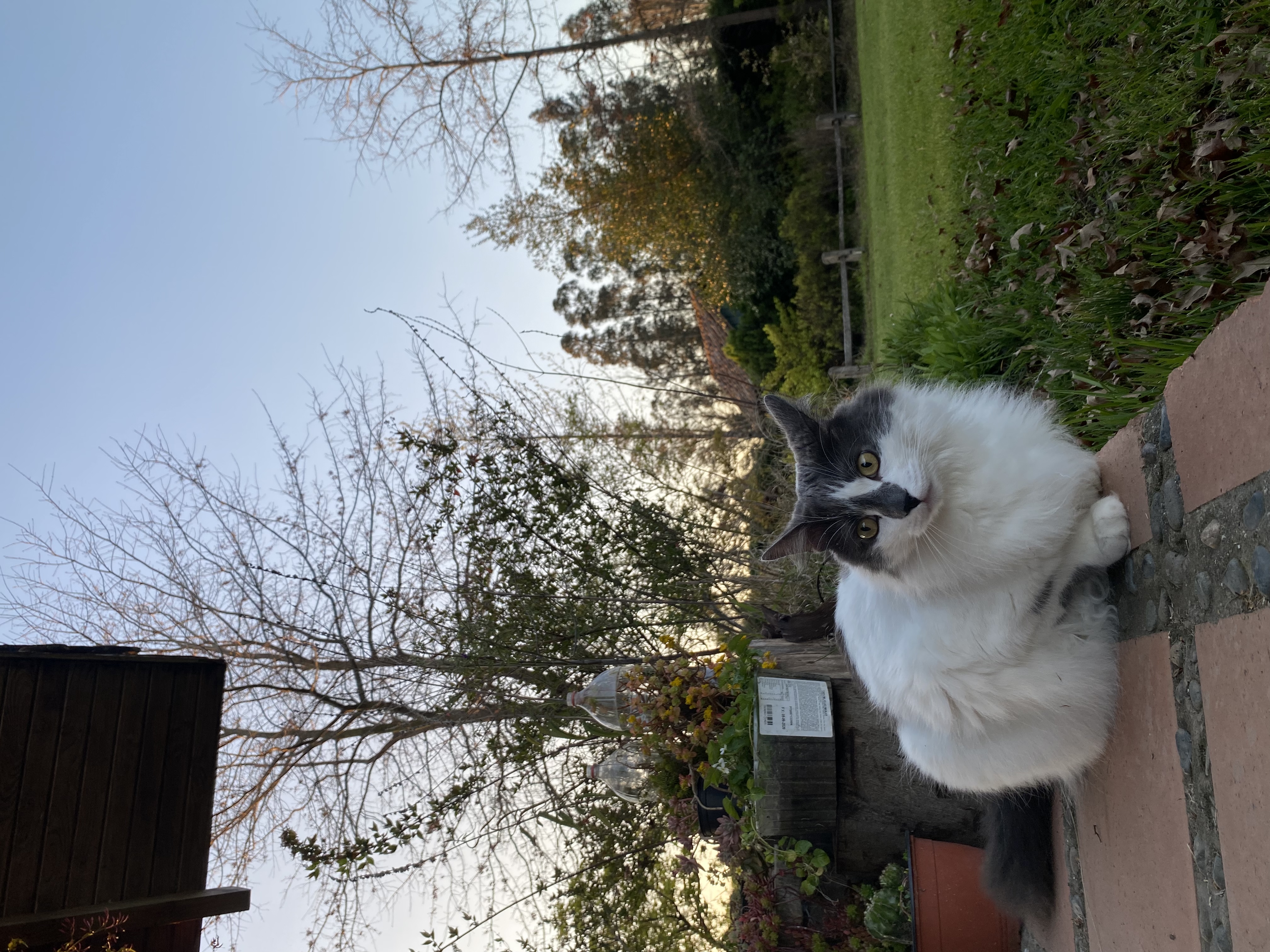 image-20