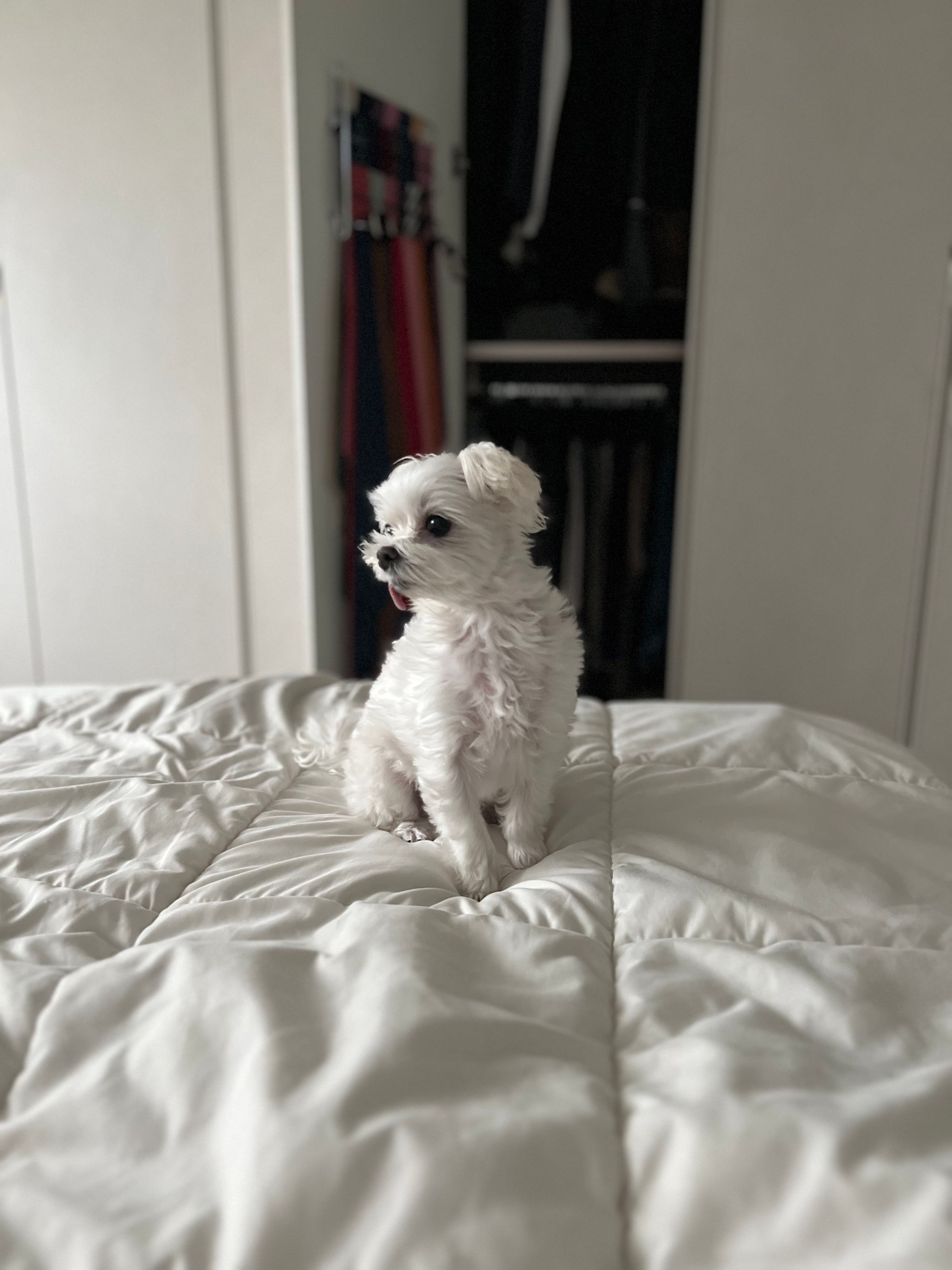 image-9