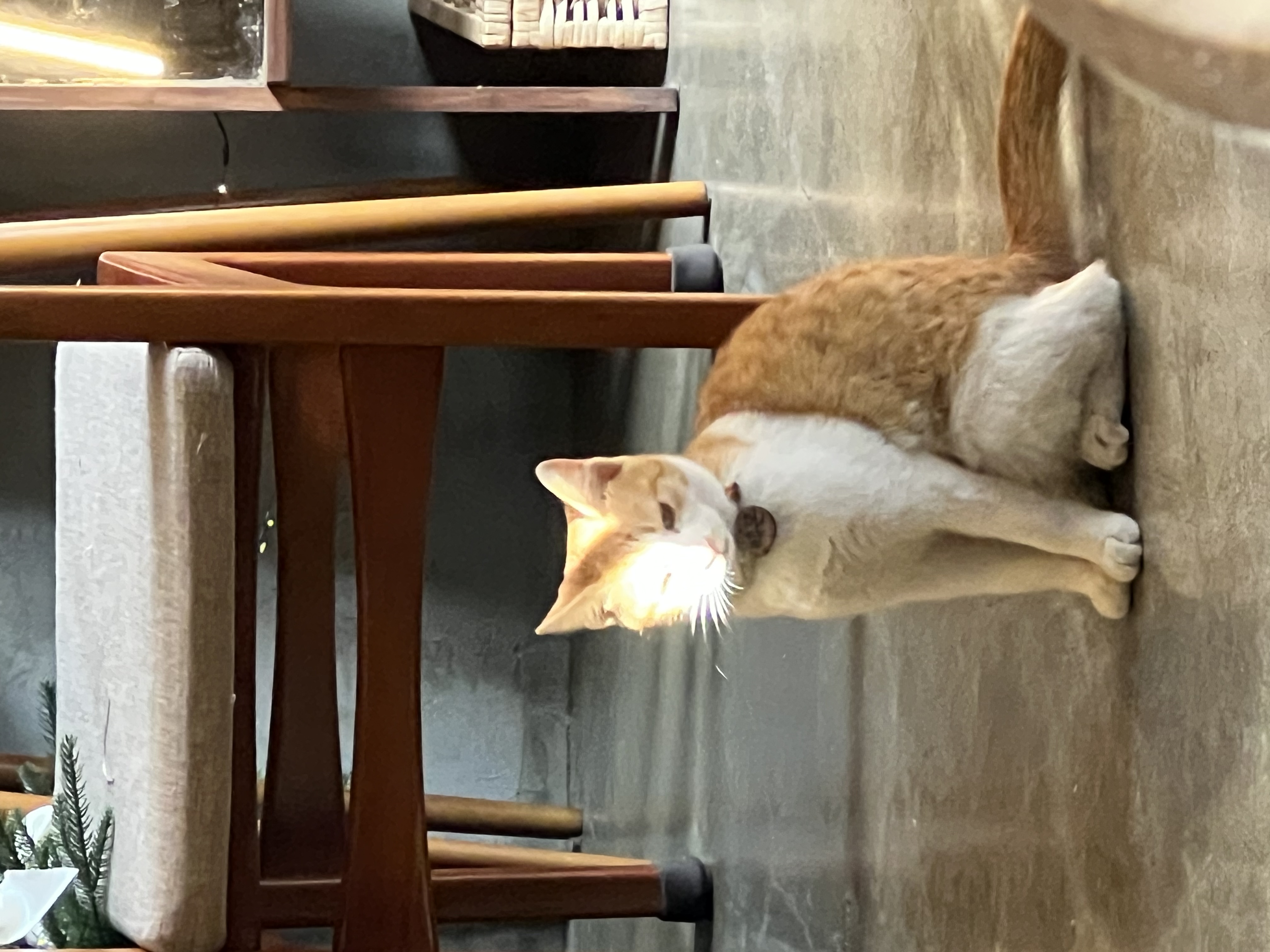 image-7