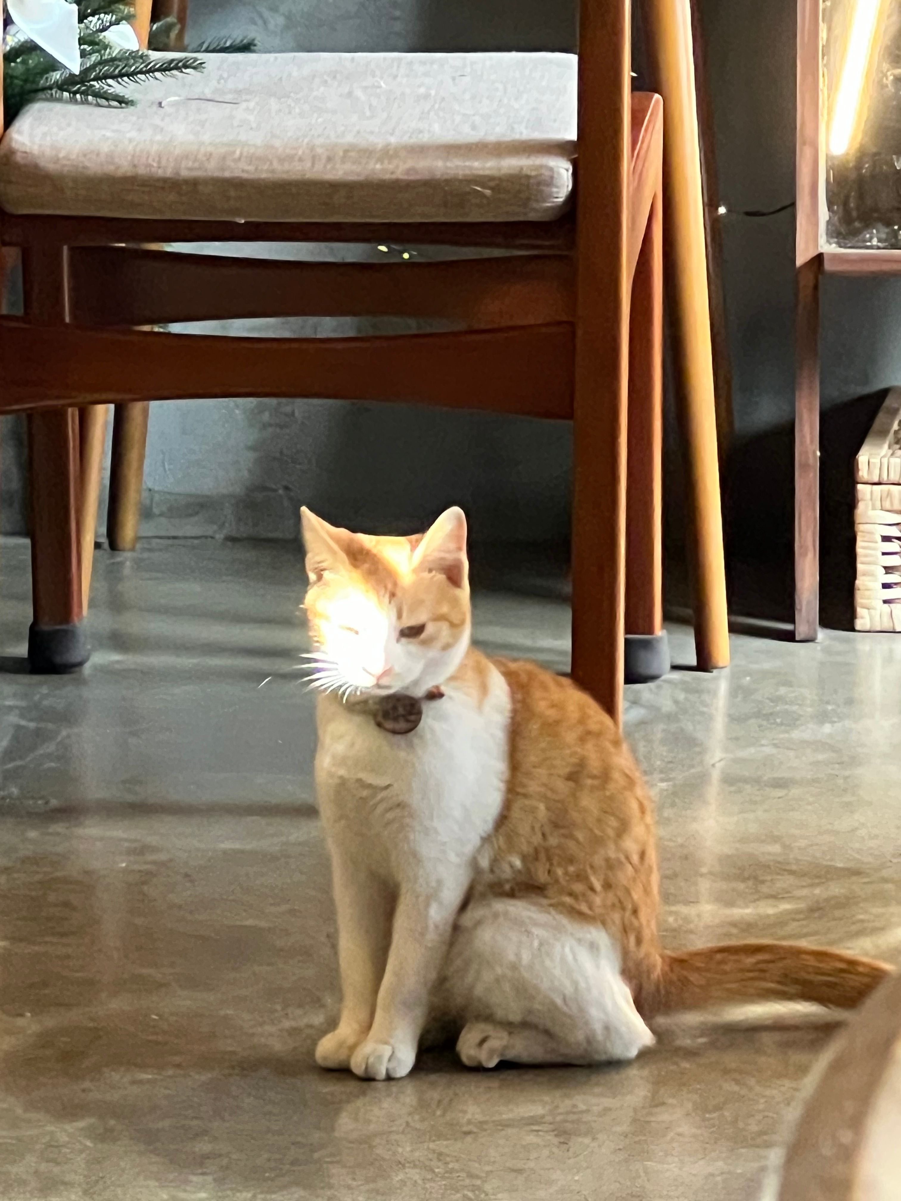 image-7
