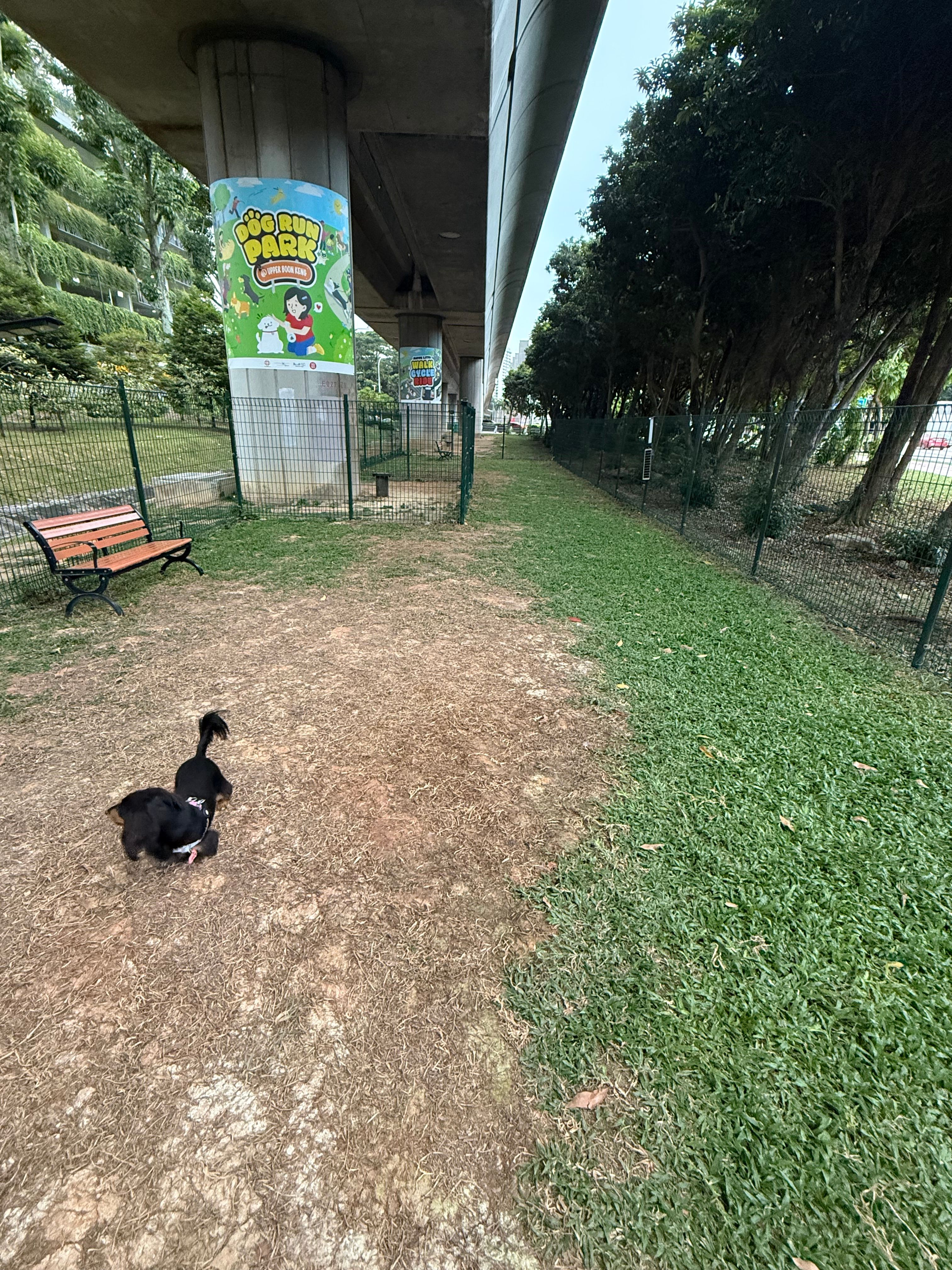 image-6