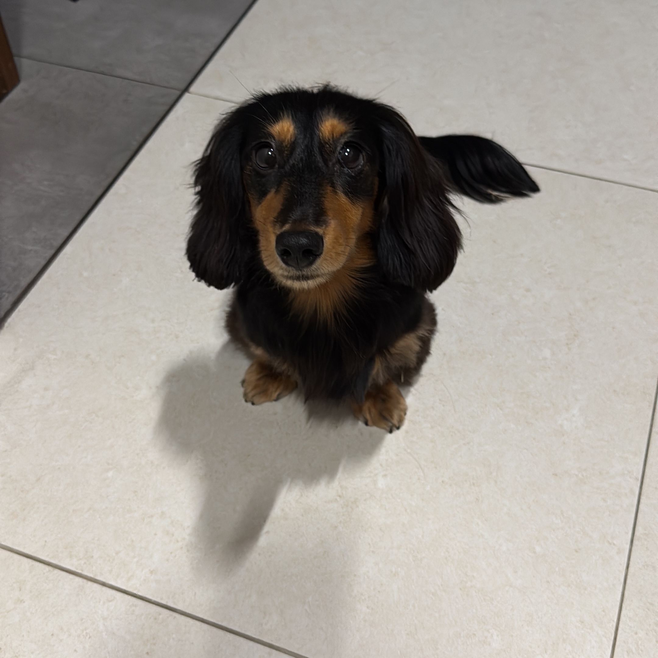 Peanut