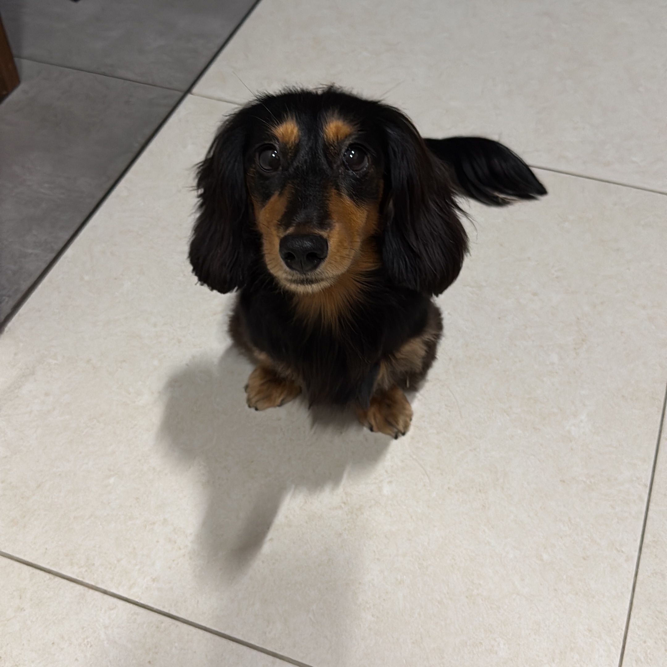 Peanut