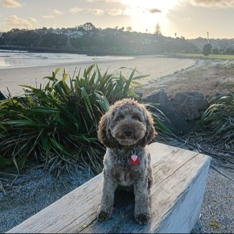 Murphy
