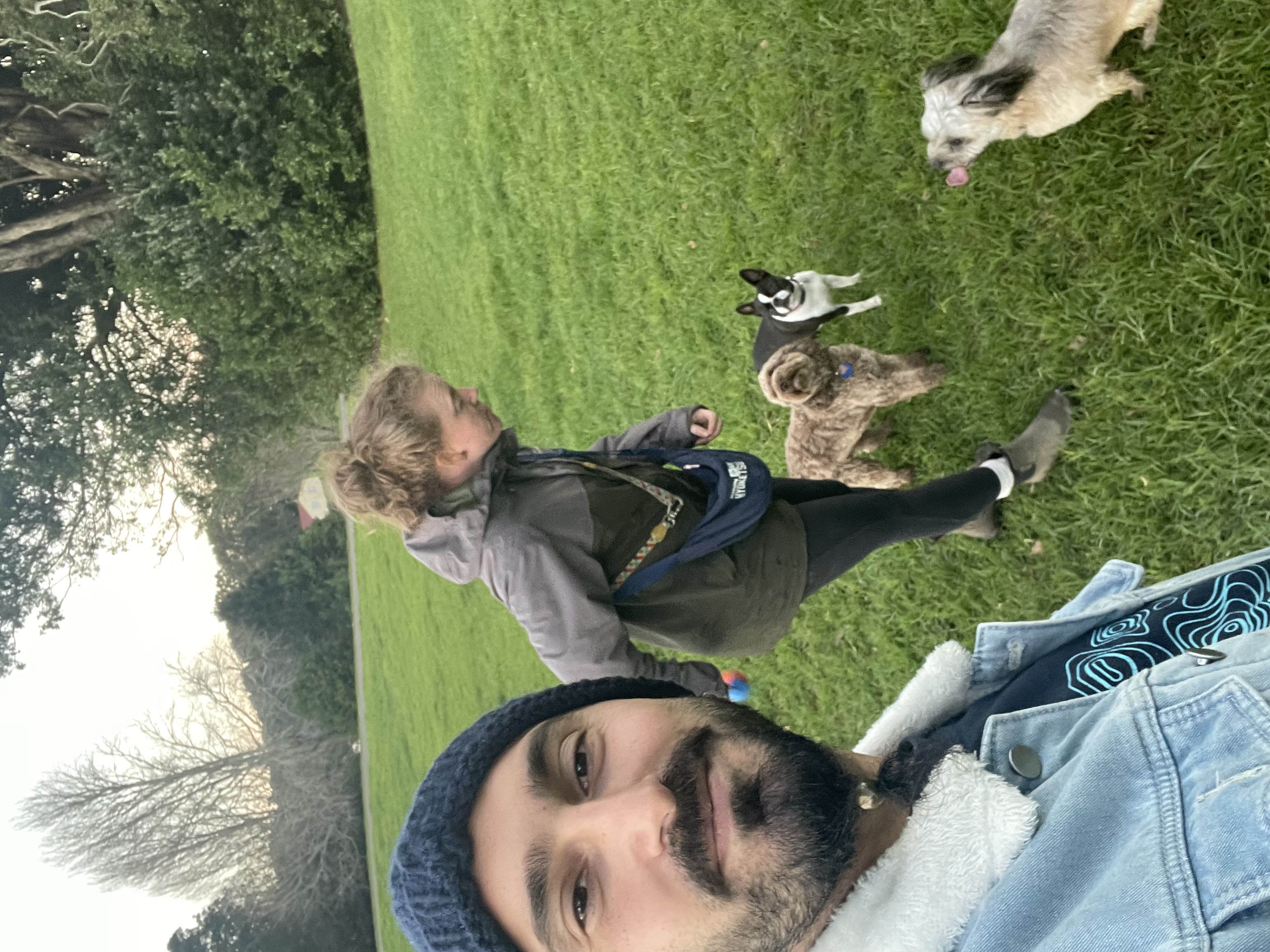 image-4
