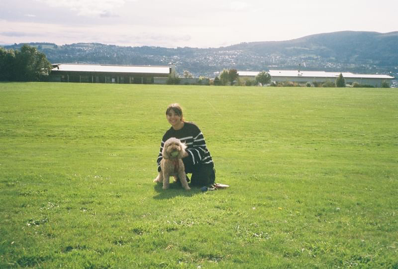 image-2