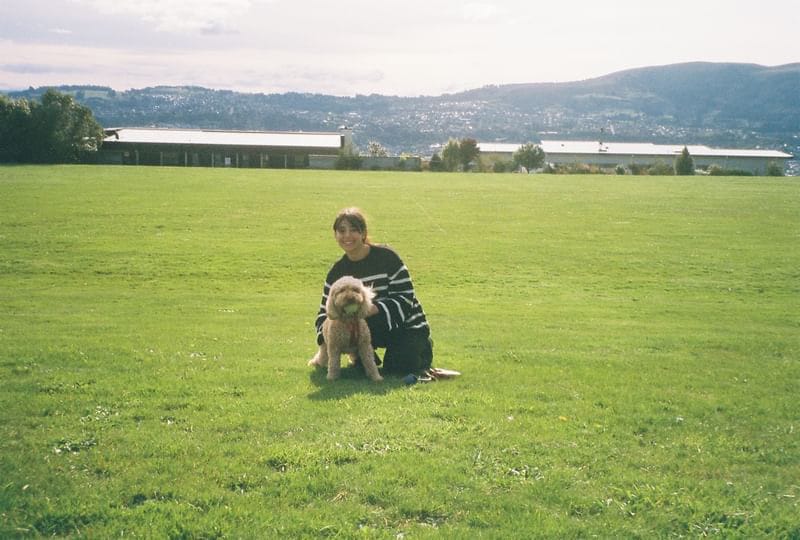 image-2