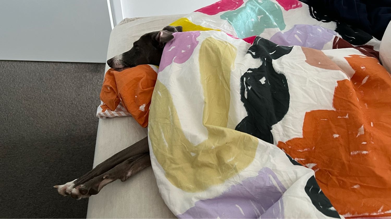 image-17