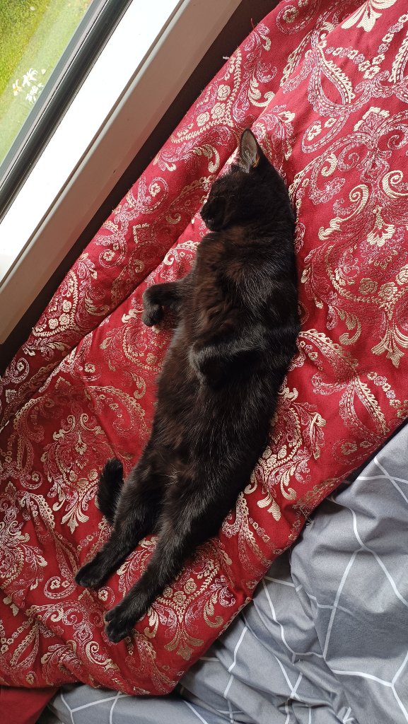 Soot