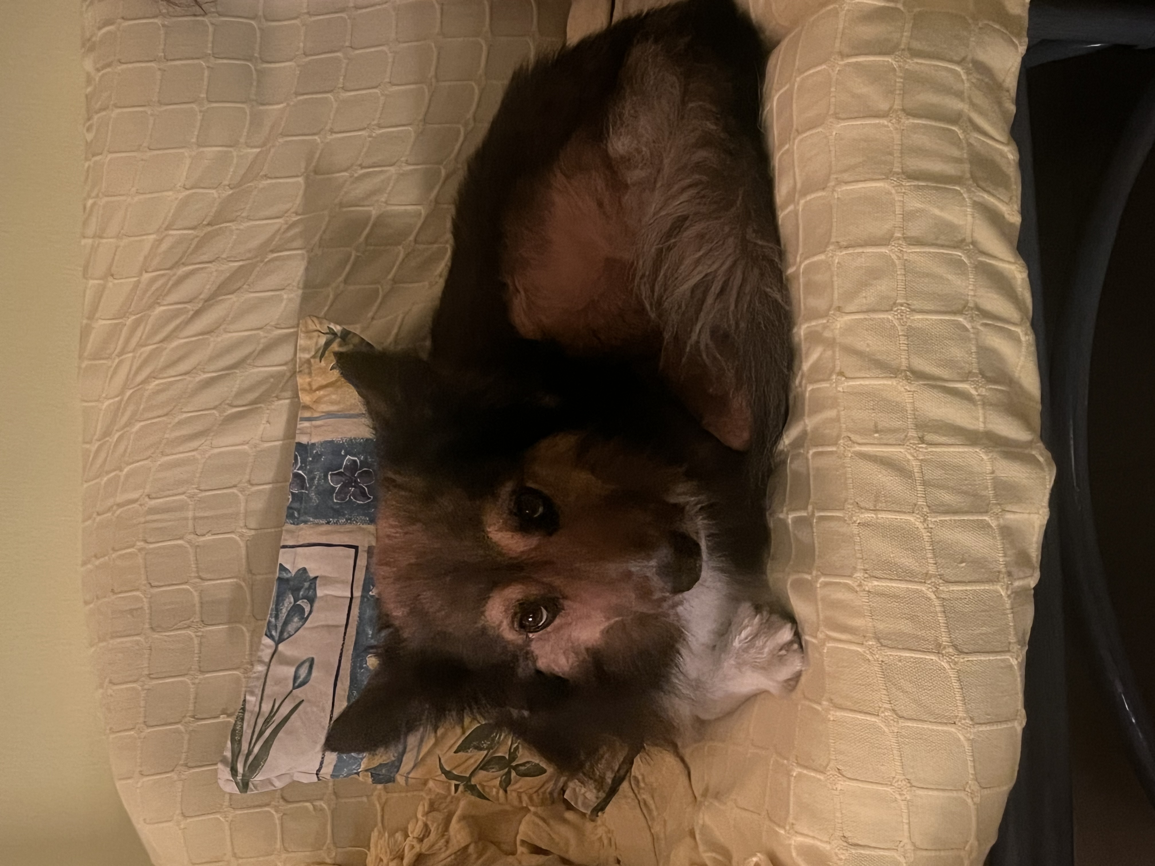 image-14