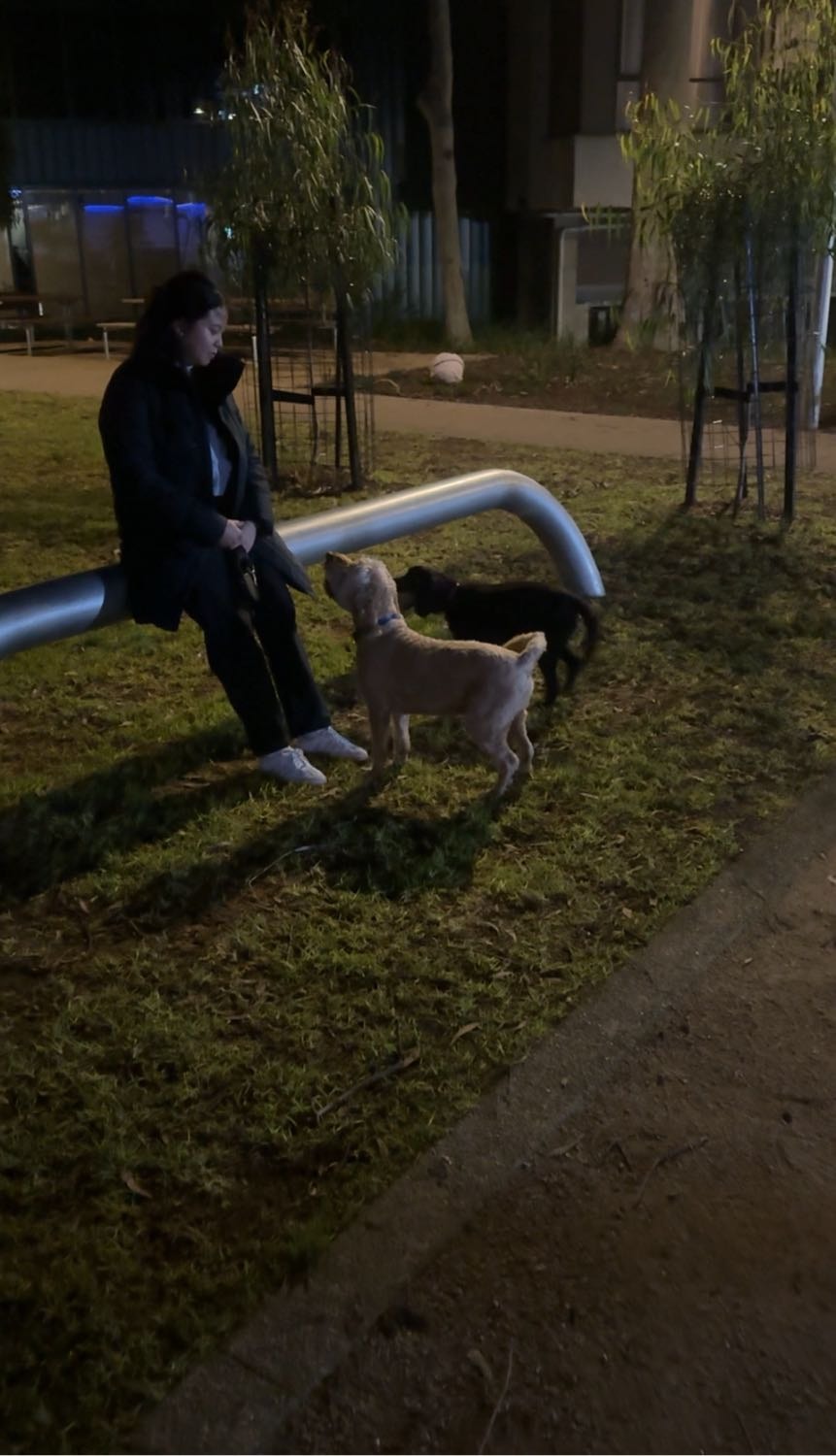 image-6