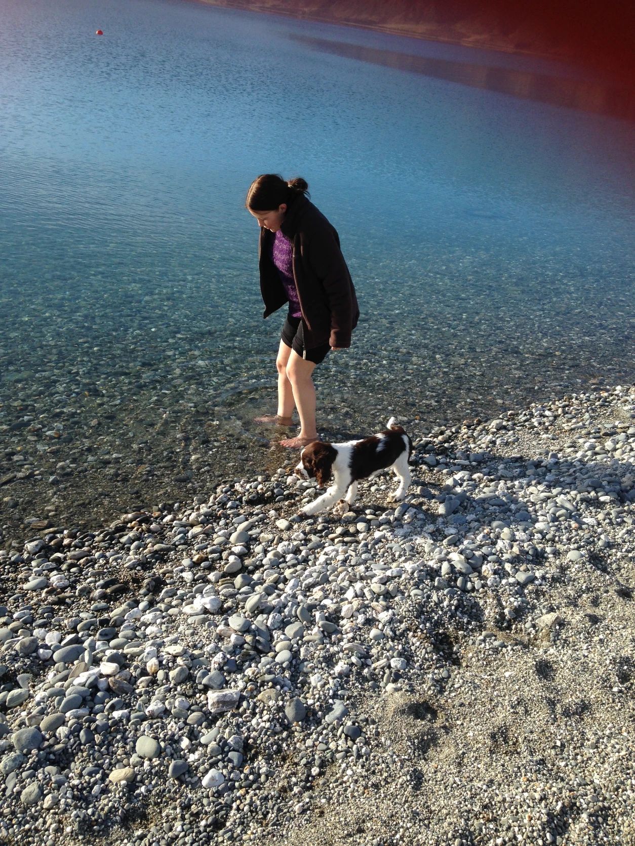 image-9