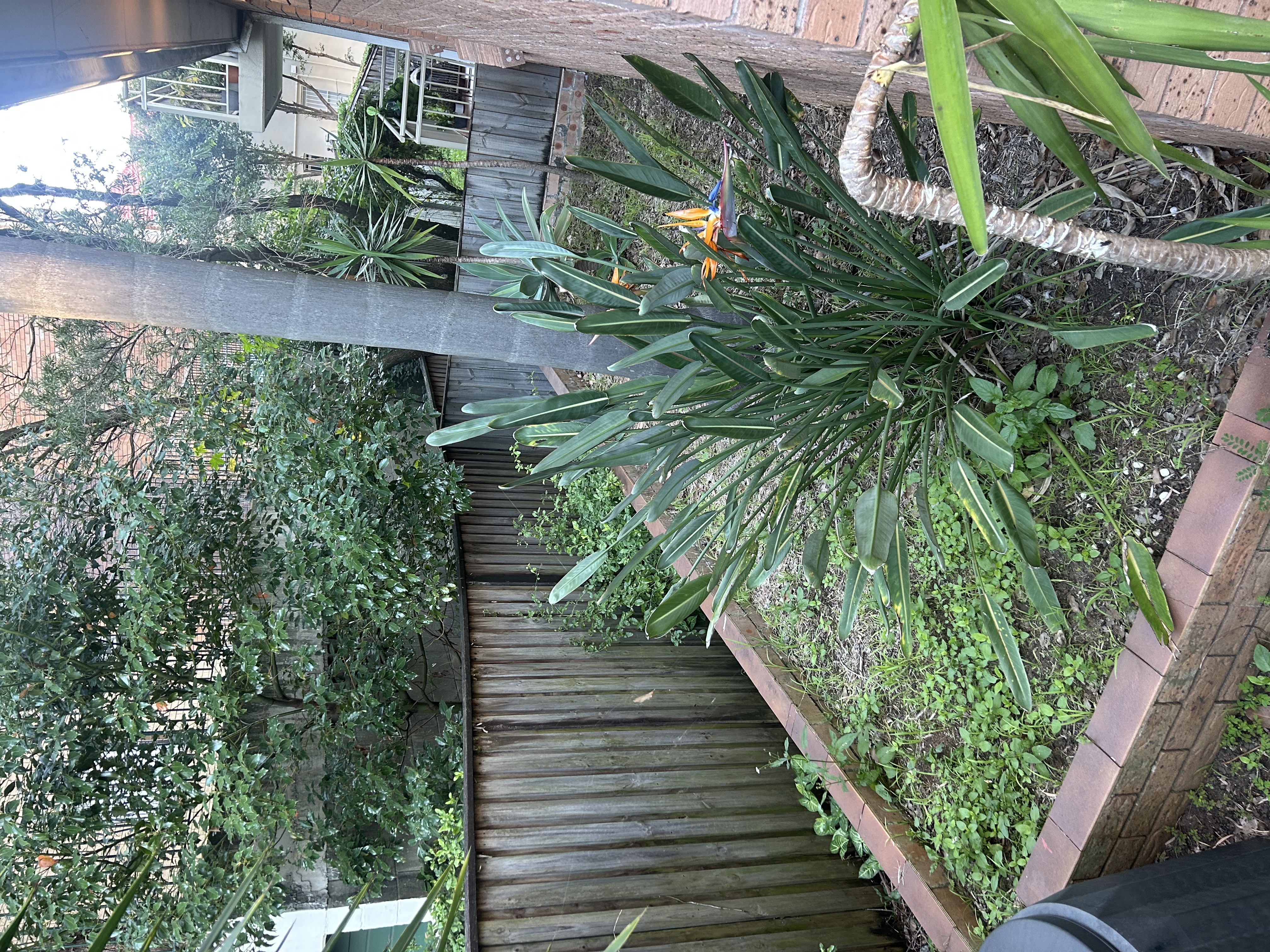 image-18