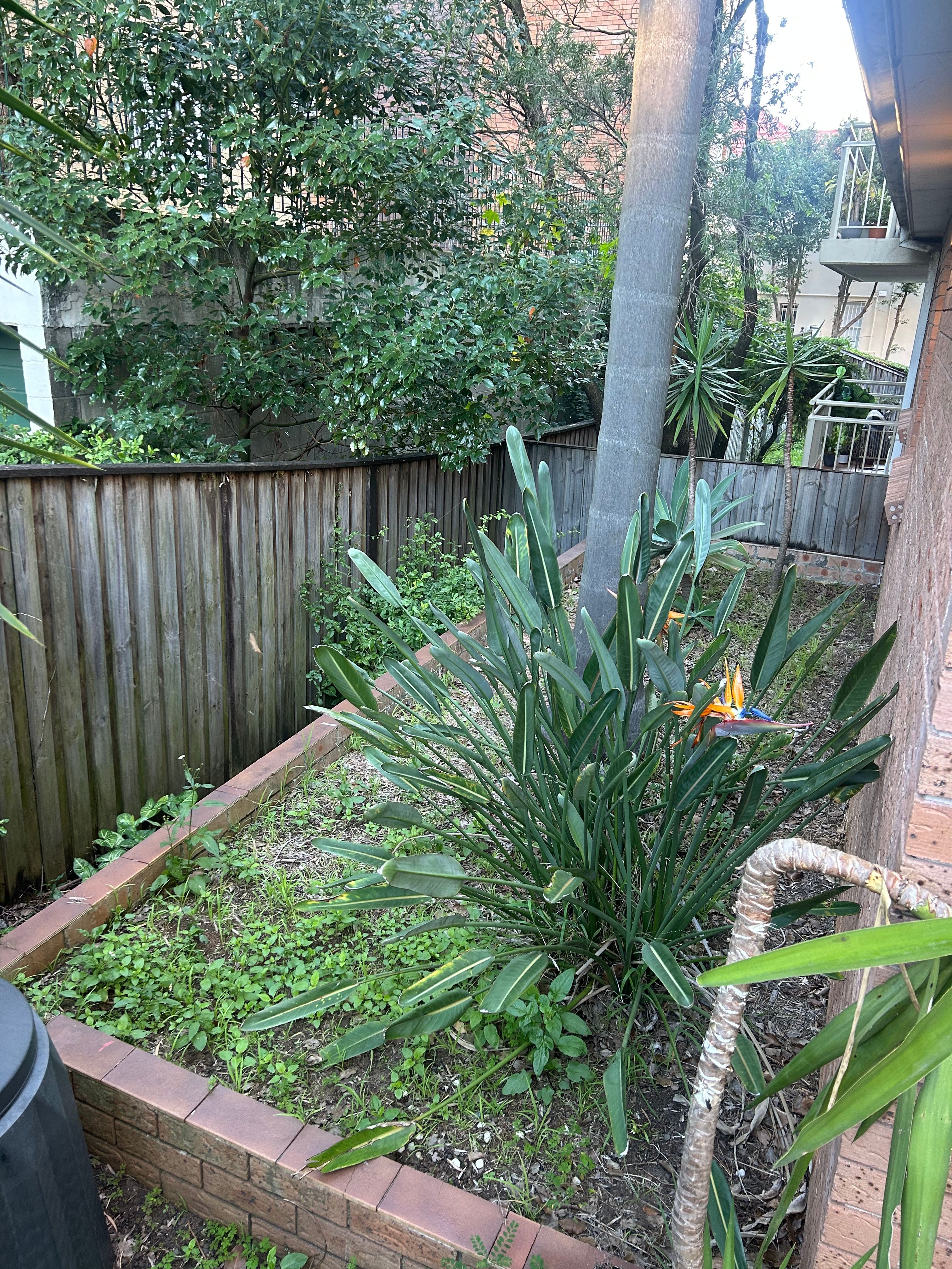 image-18