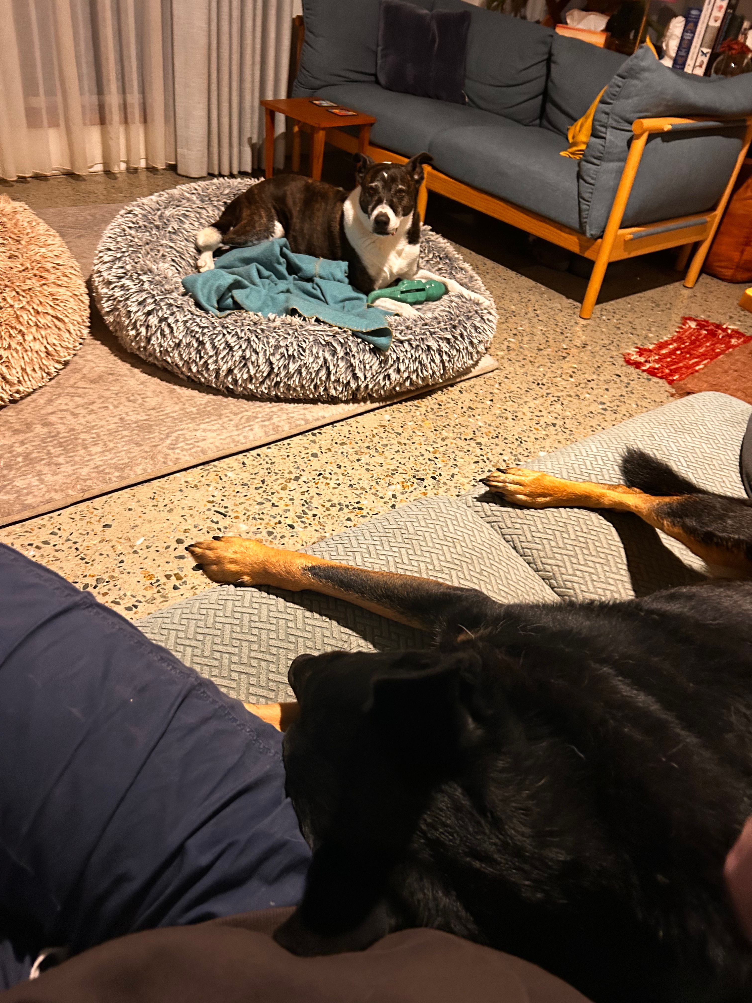 image-17