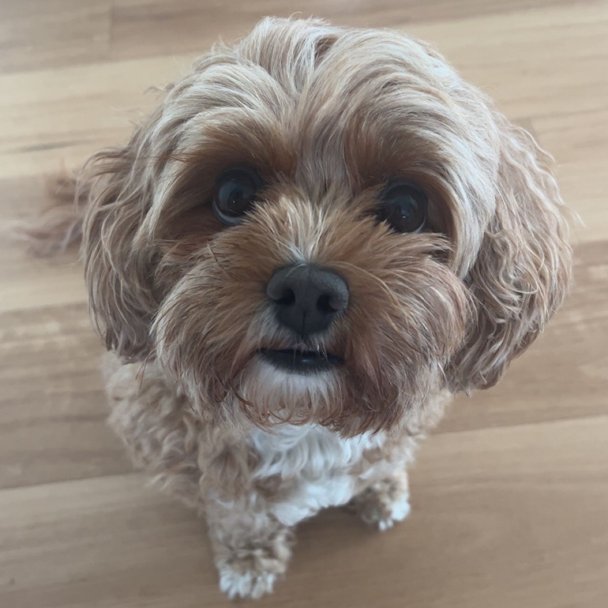 Ellie