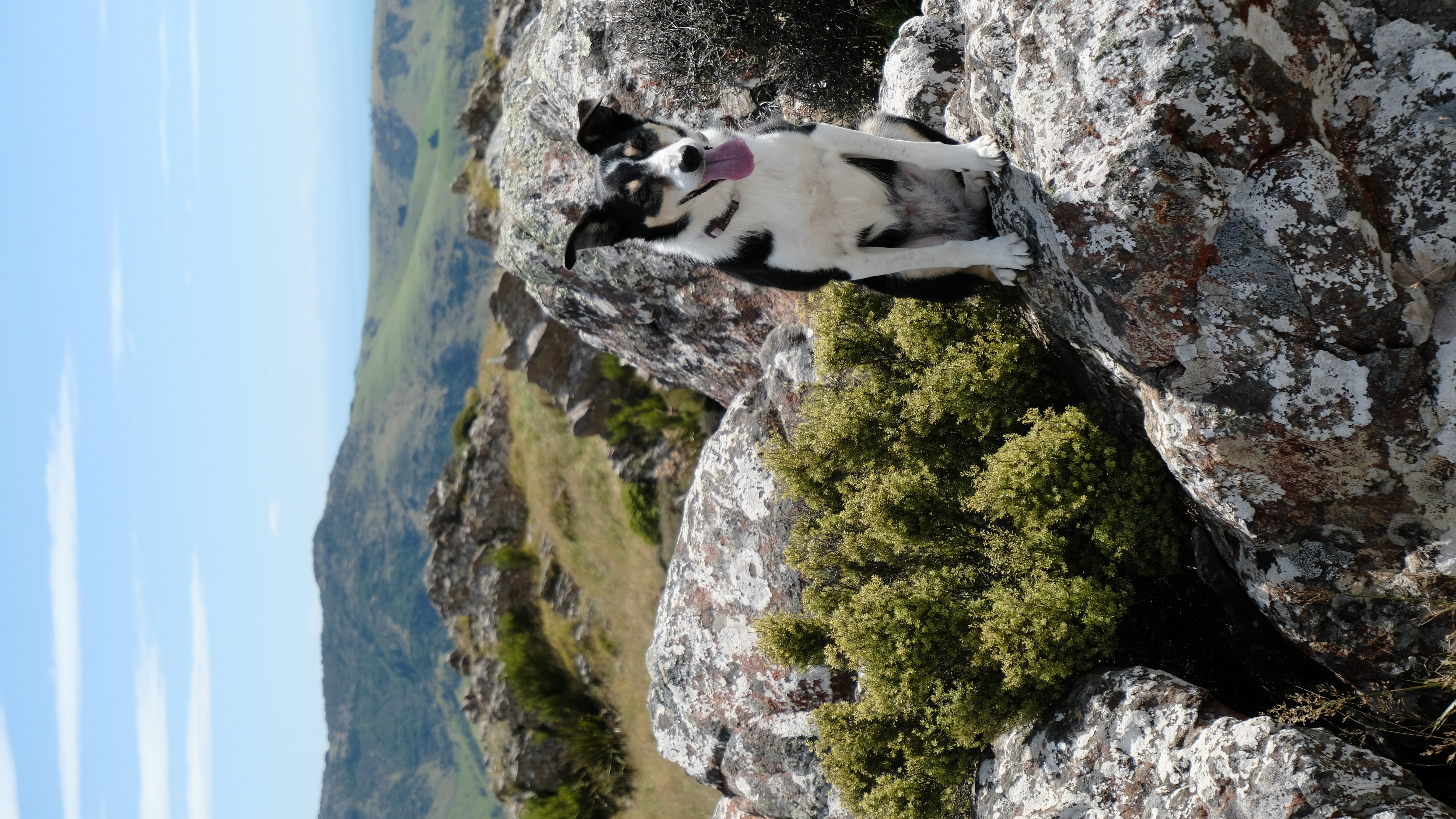 image-5