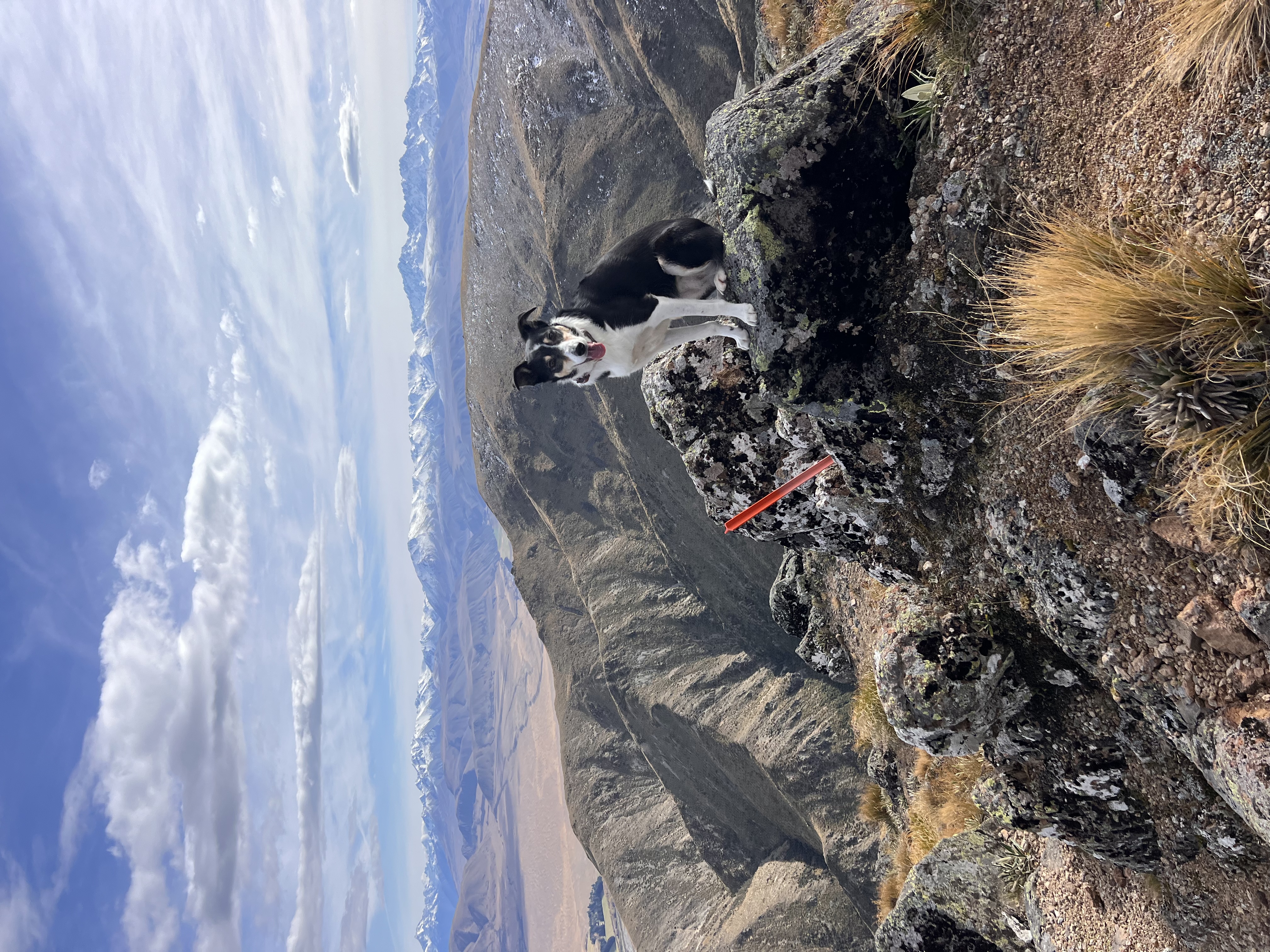 image-0