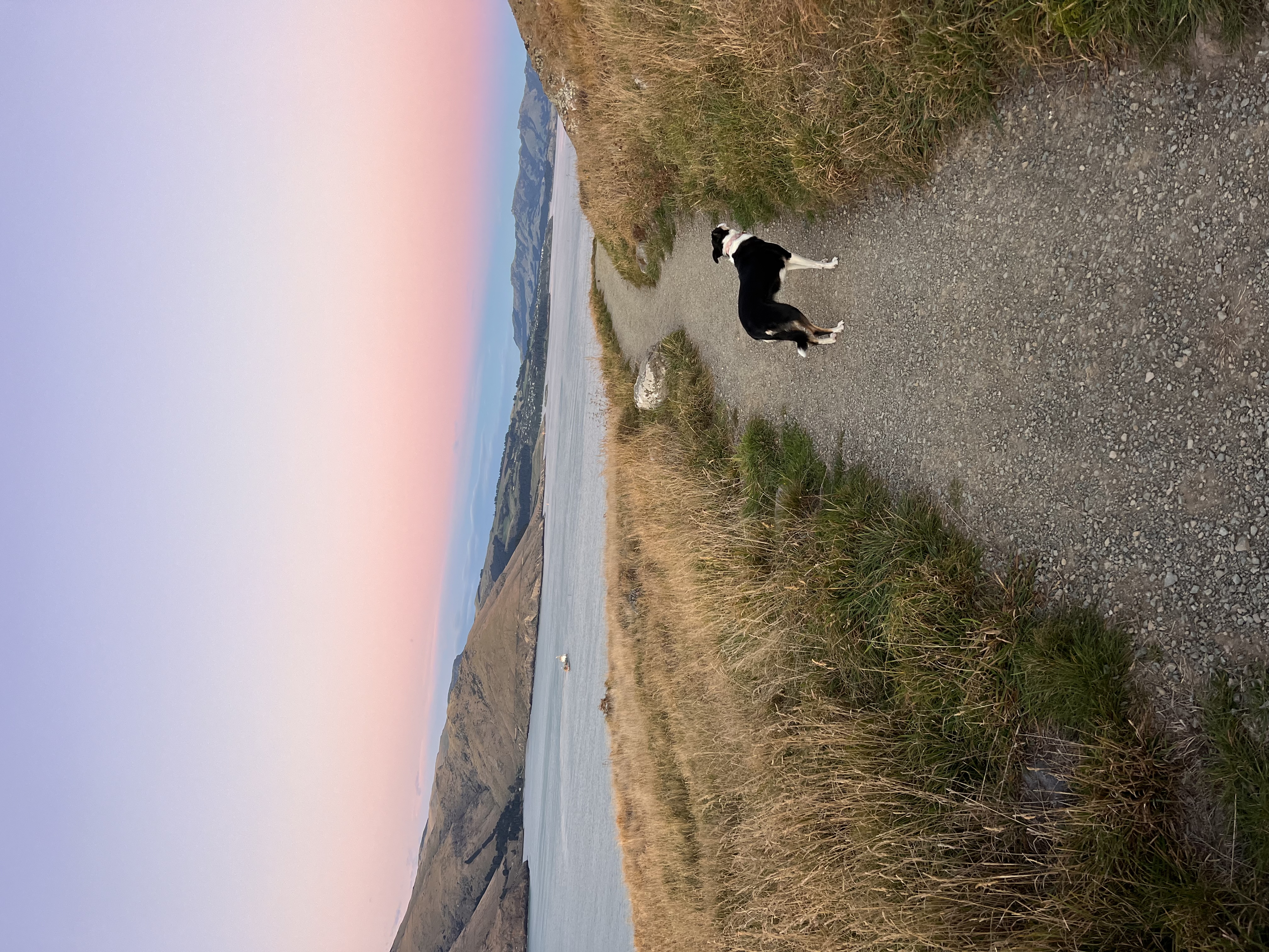 image-7