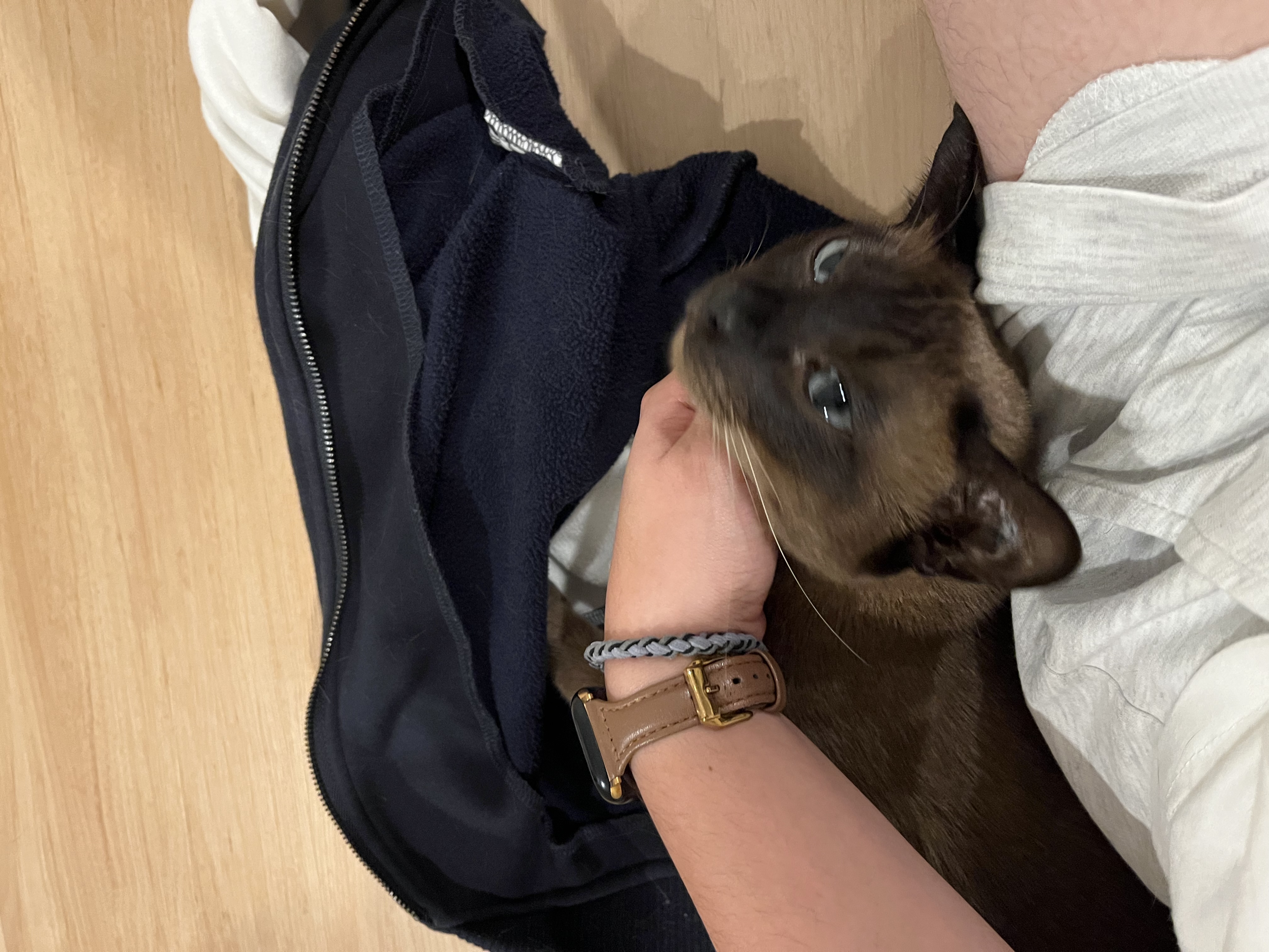 image-6