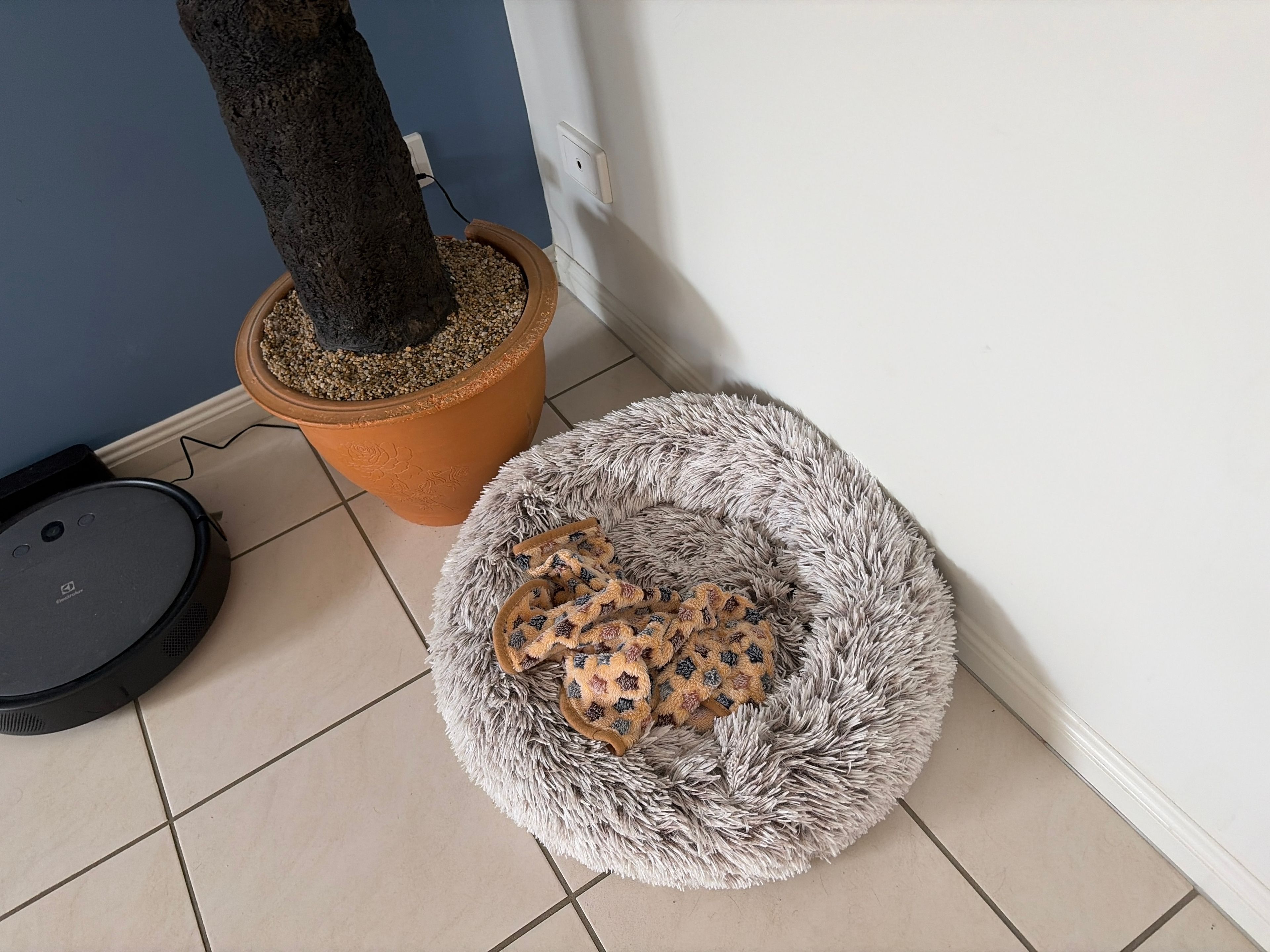 image-18
