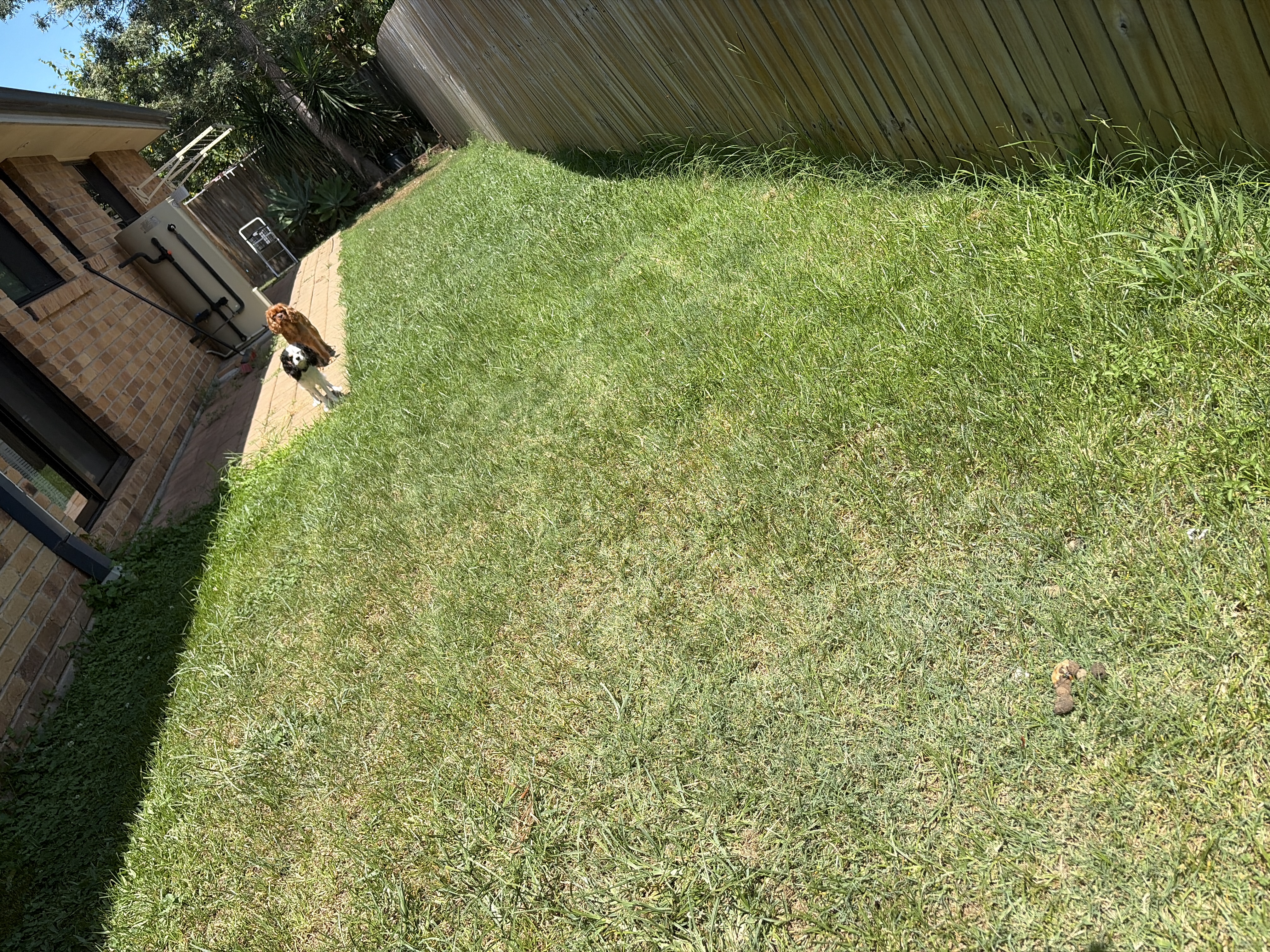 image-16