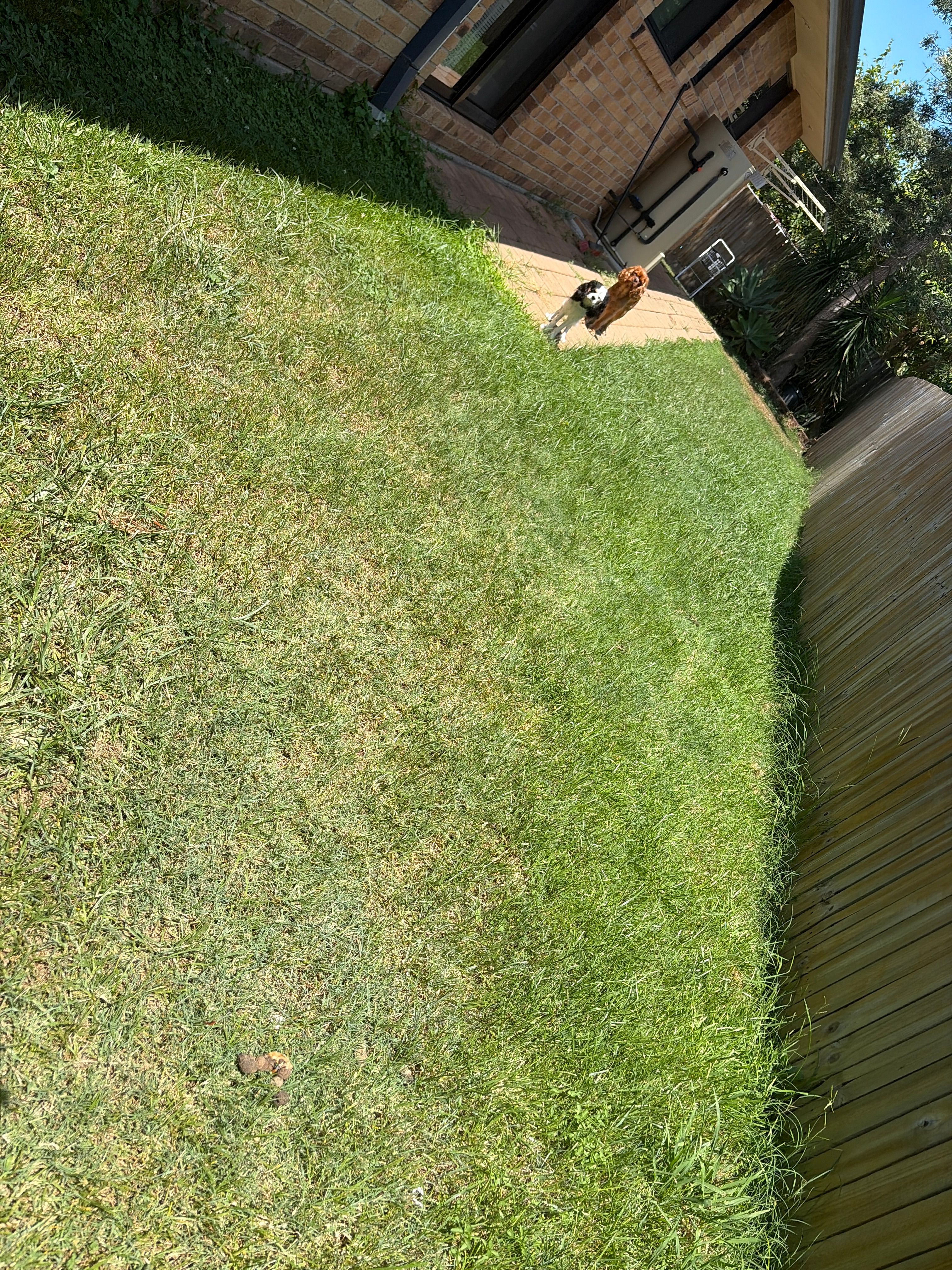 image-16